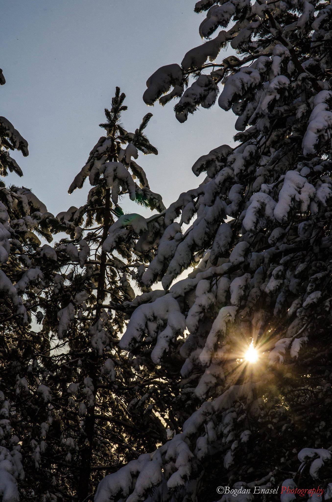 il Buon giorno si vede dal mattino