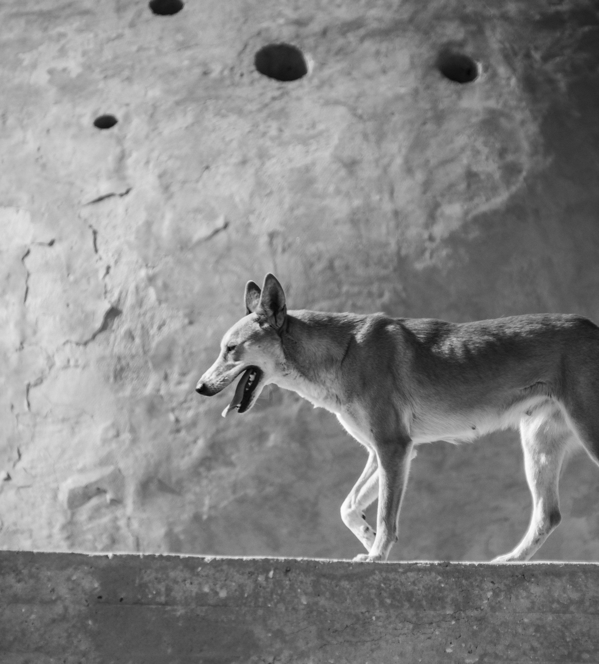 ...walking on the moon...