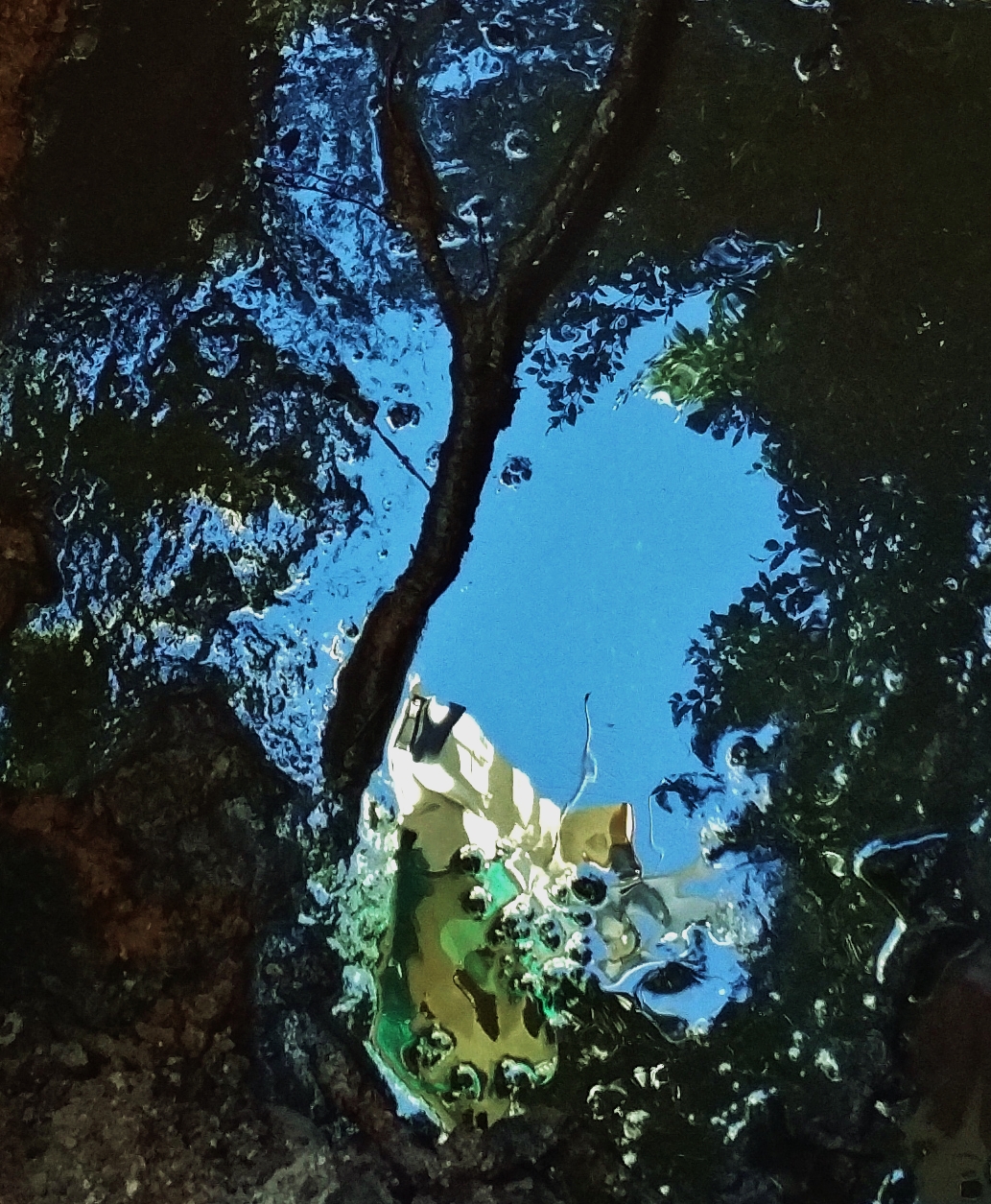 One click unexpected ... (reflected in the sewage)