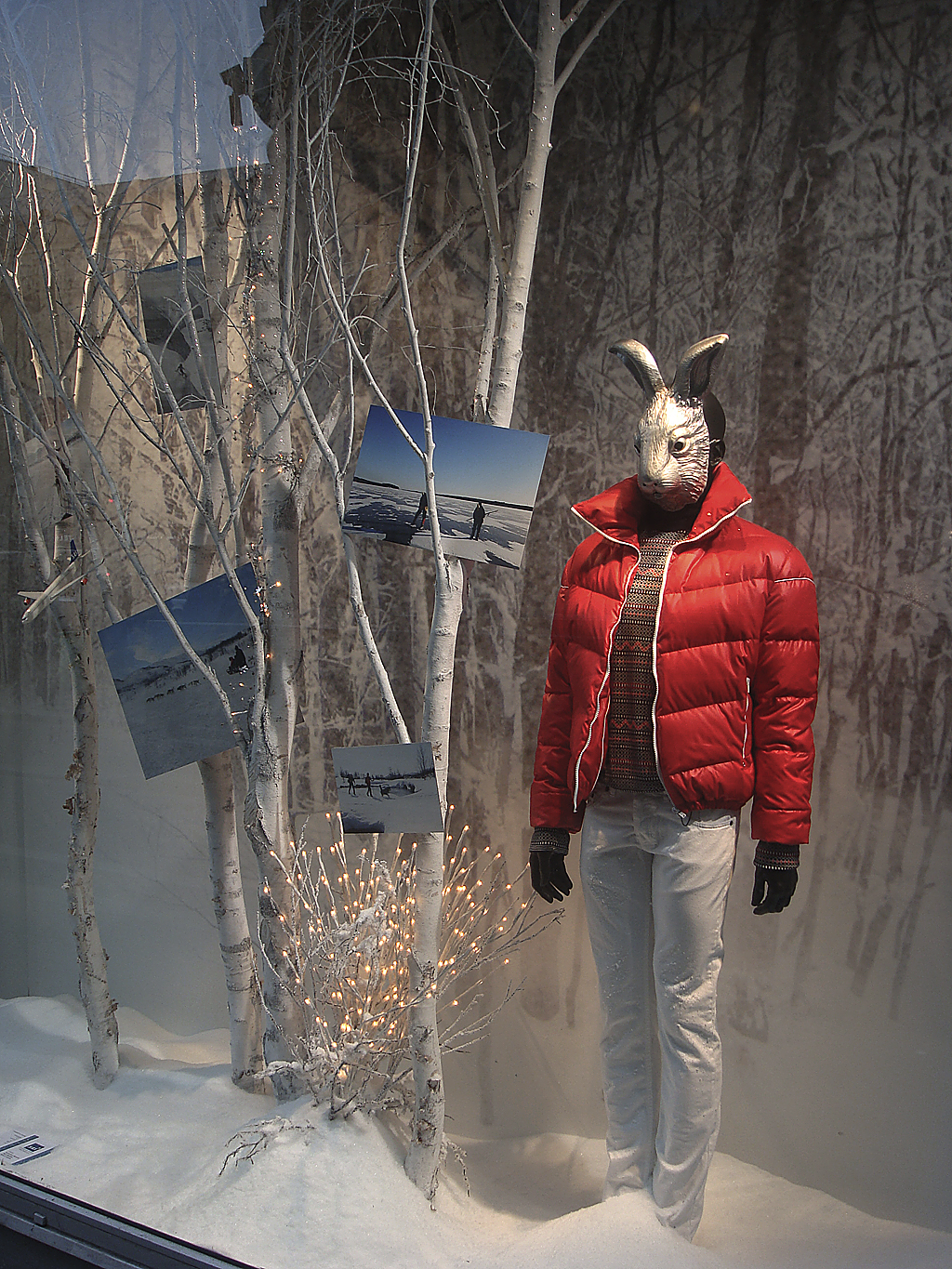 La Fayette vetrina 6