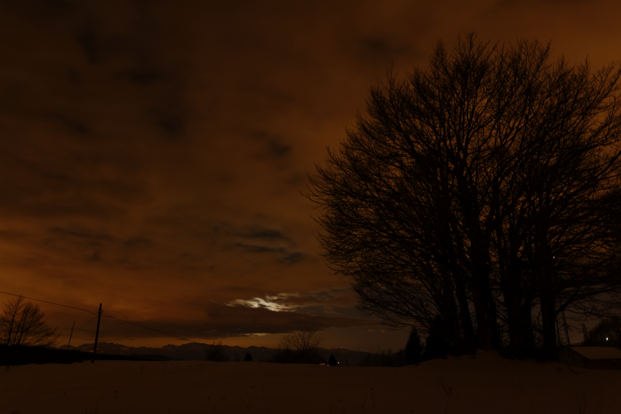 Ho lasciato i colori come da scatto.. poco naturali.. m