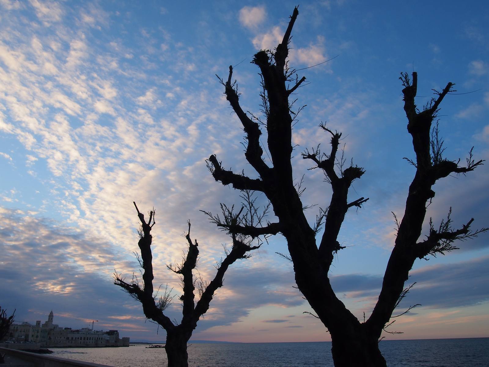 tramonto a Molfetta 10