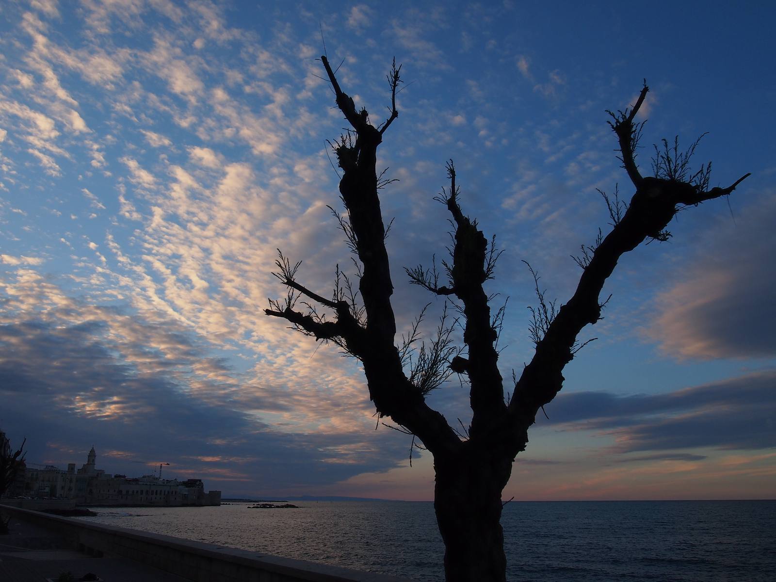 tramonto a Molfetta 11