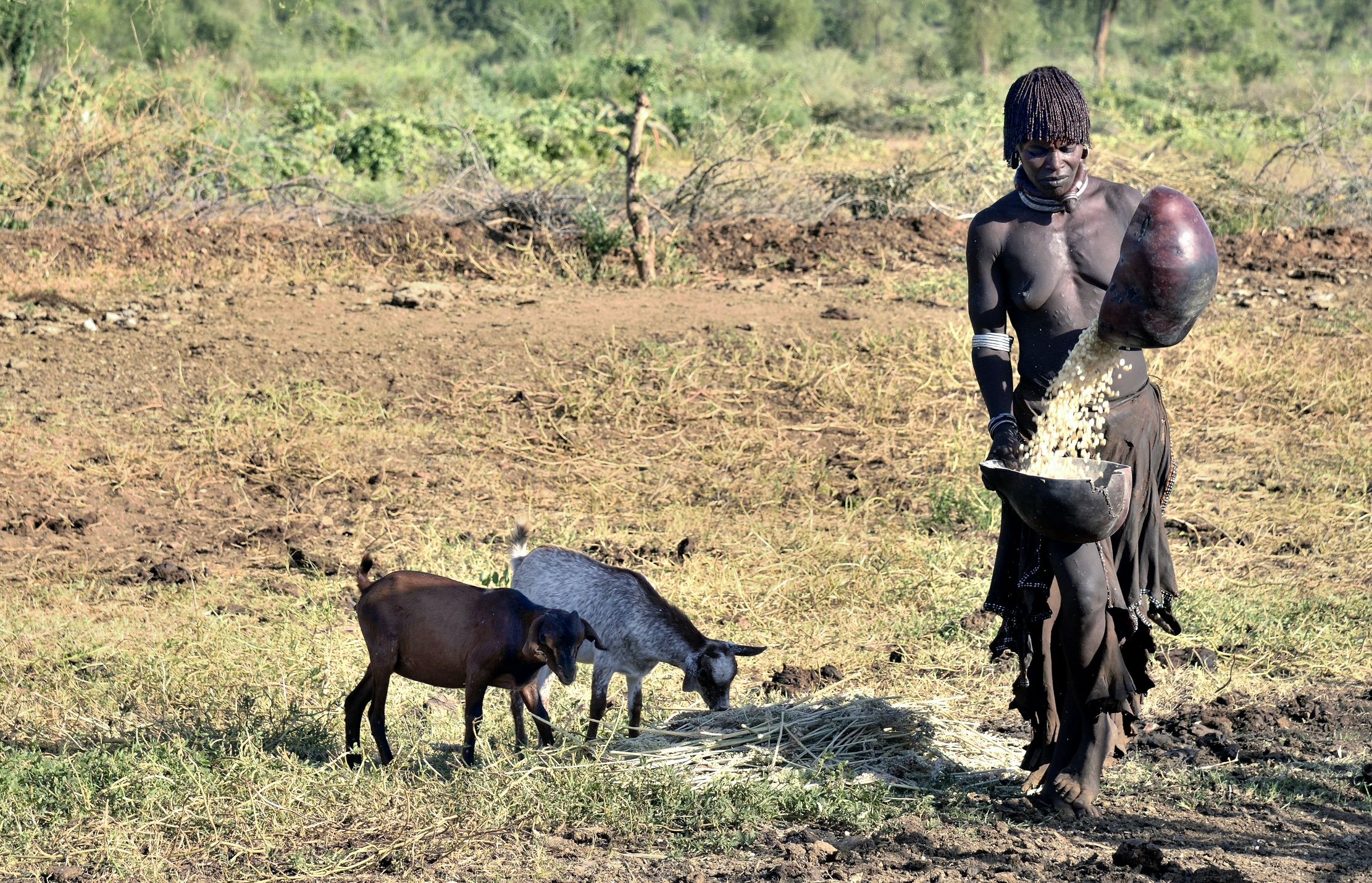 Etiopia 2015 - Donna Hamer al lavoro