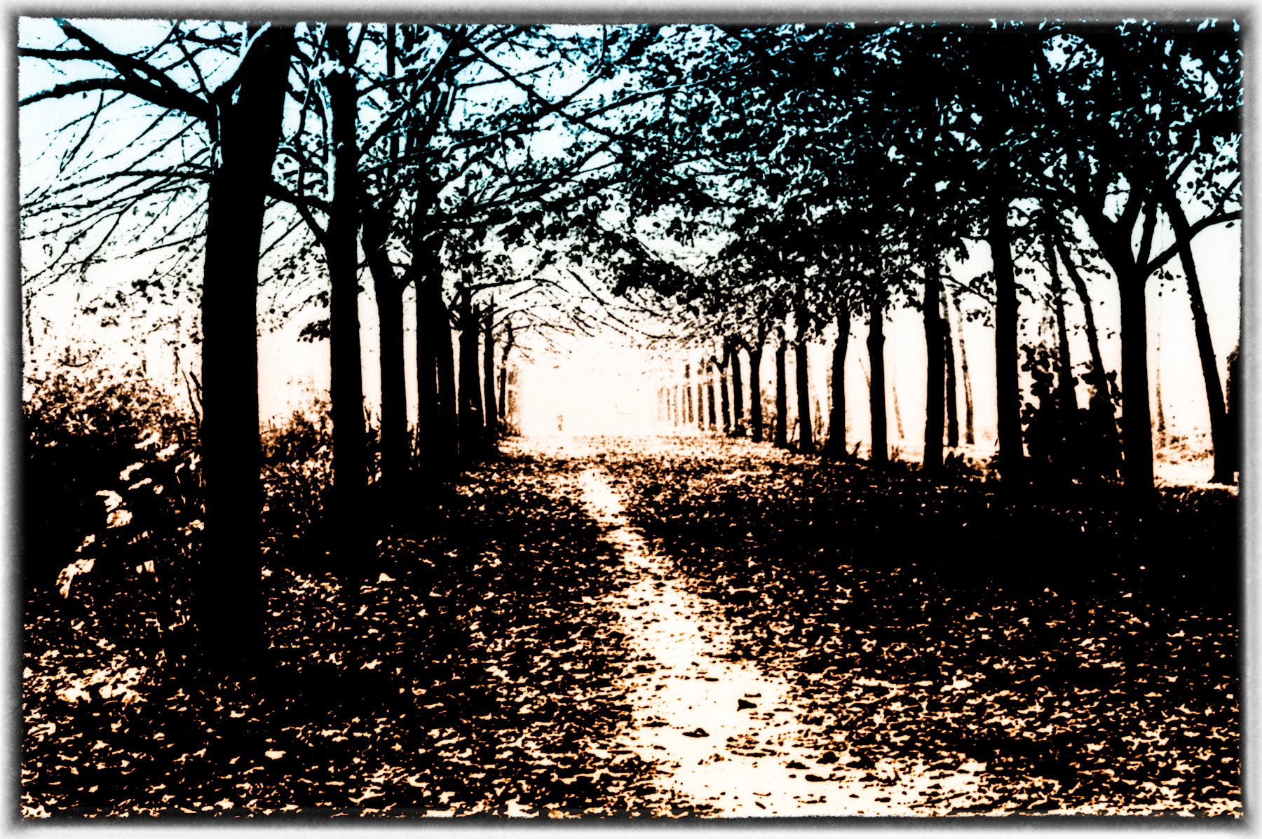 Ferrara le mura -inverno