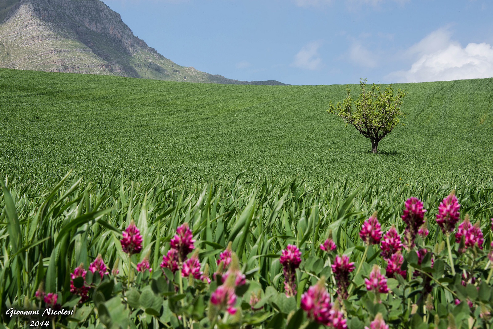 Sicilian countryside