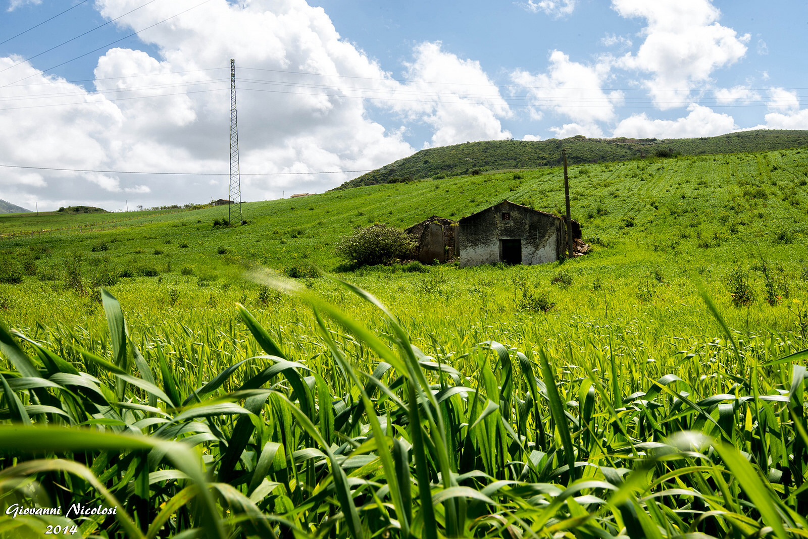 Sicilian countryside