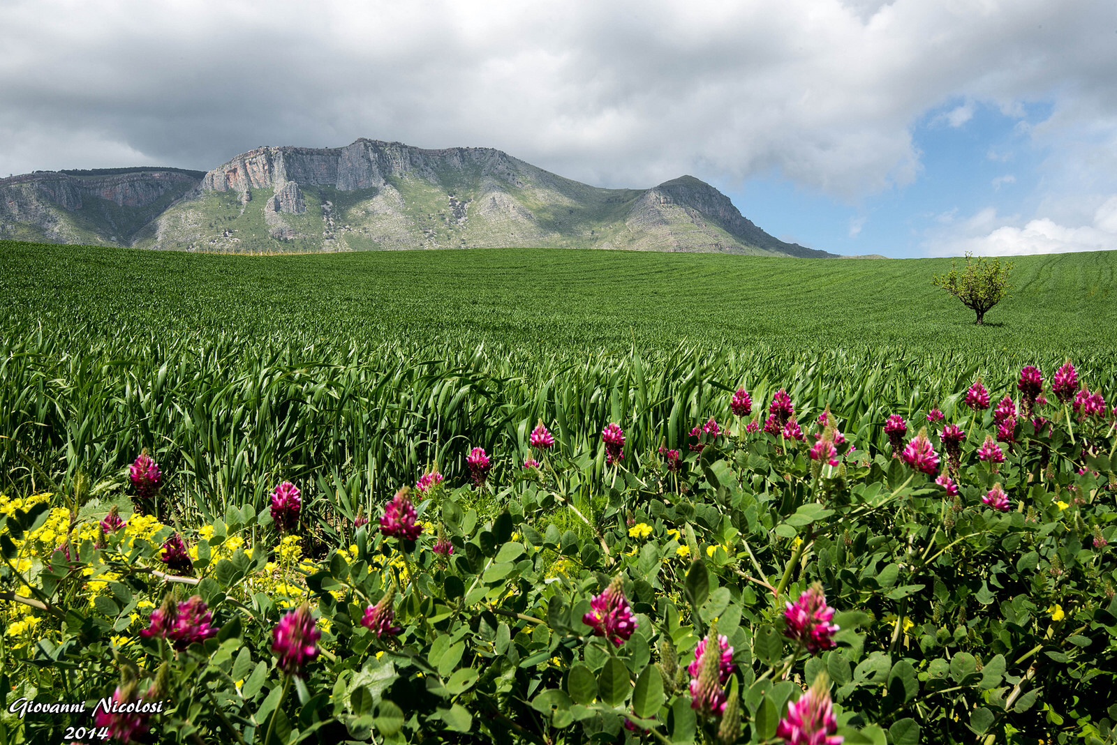 Sicilian countryside