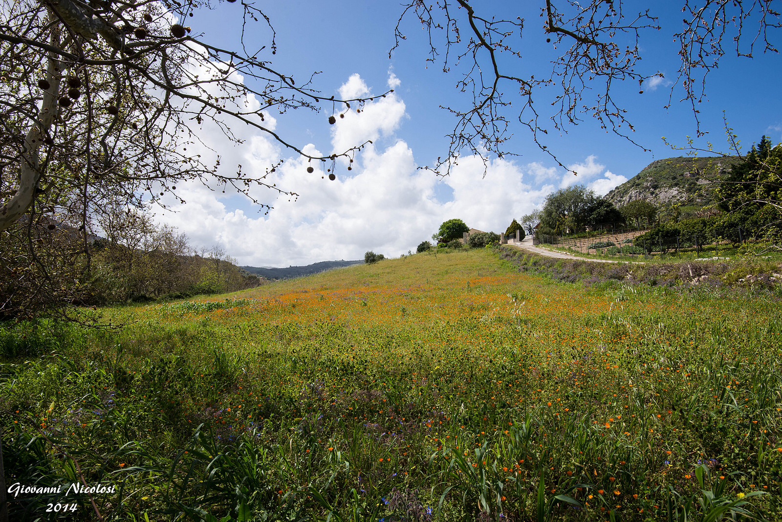 Sicilian countryside