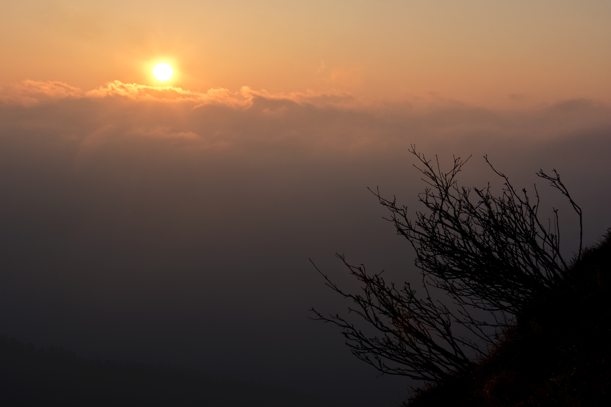 First awakenings ...