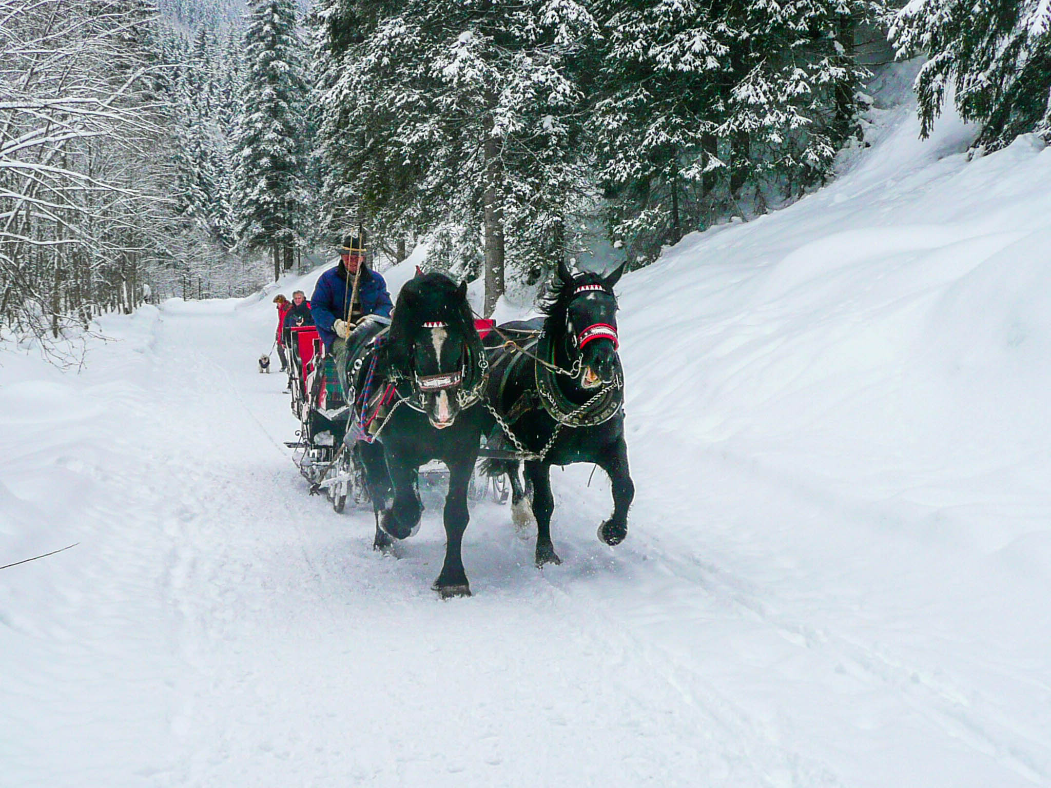 incontri tra la villa e corvara - panasonic dmc tz3