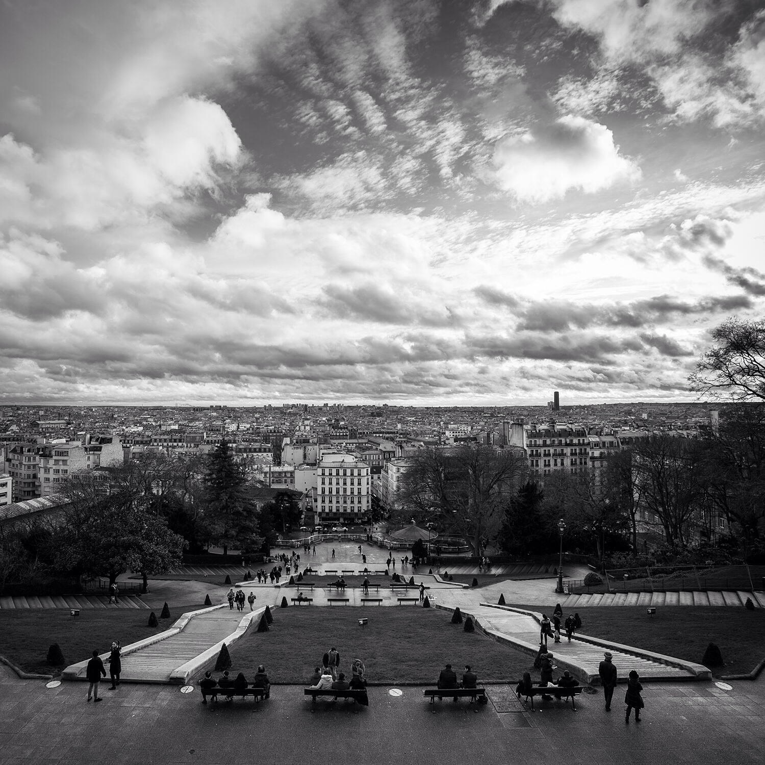 Ciò che vede una colomba parigina