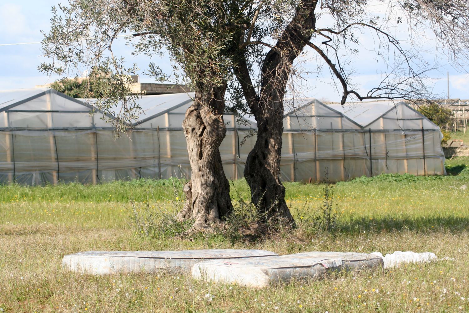 nature creates, man destroys