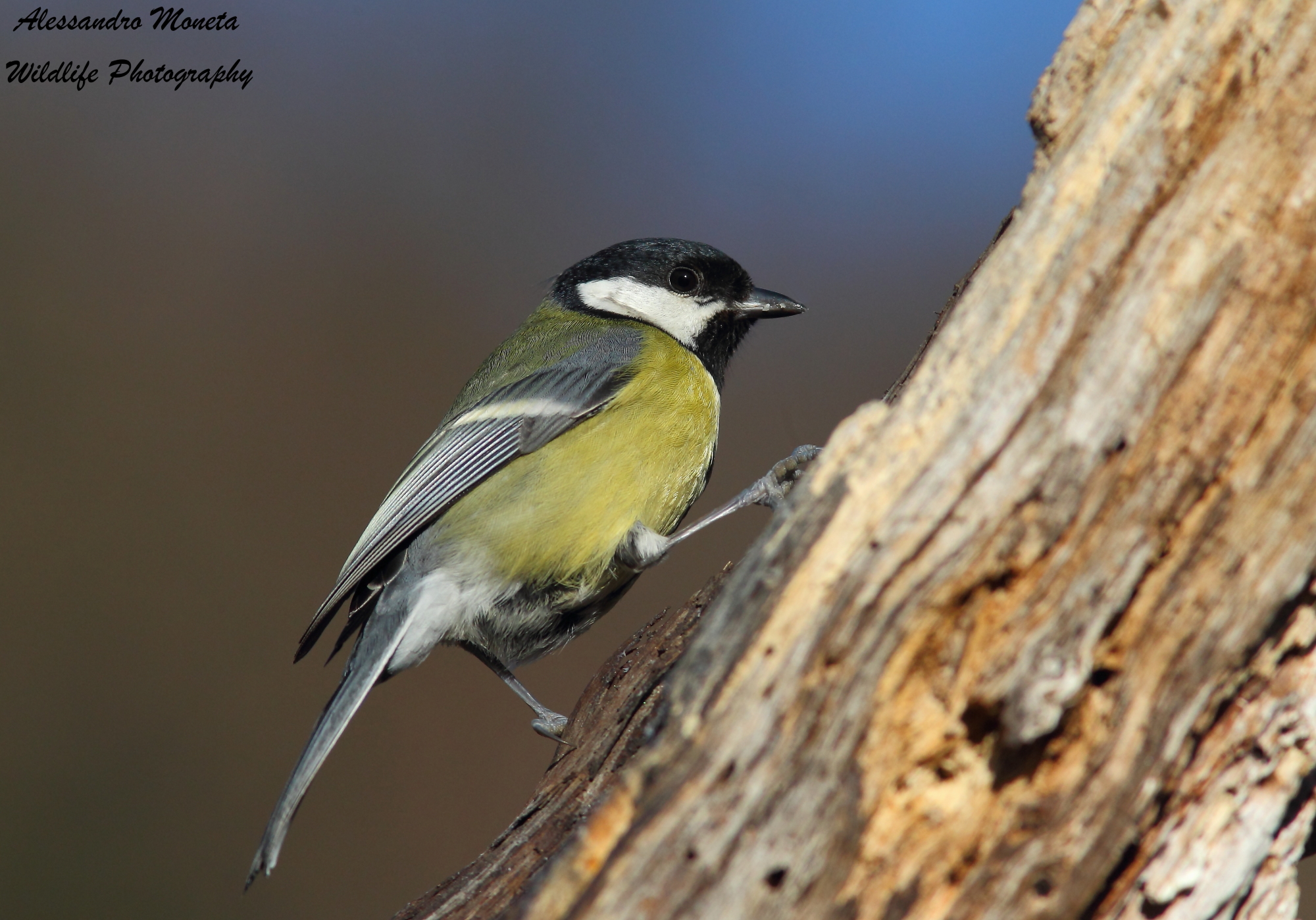 Quanto e' dura la salita