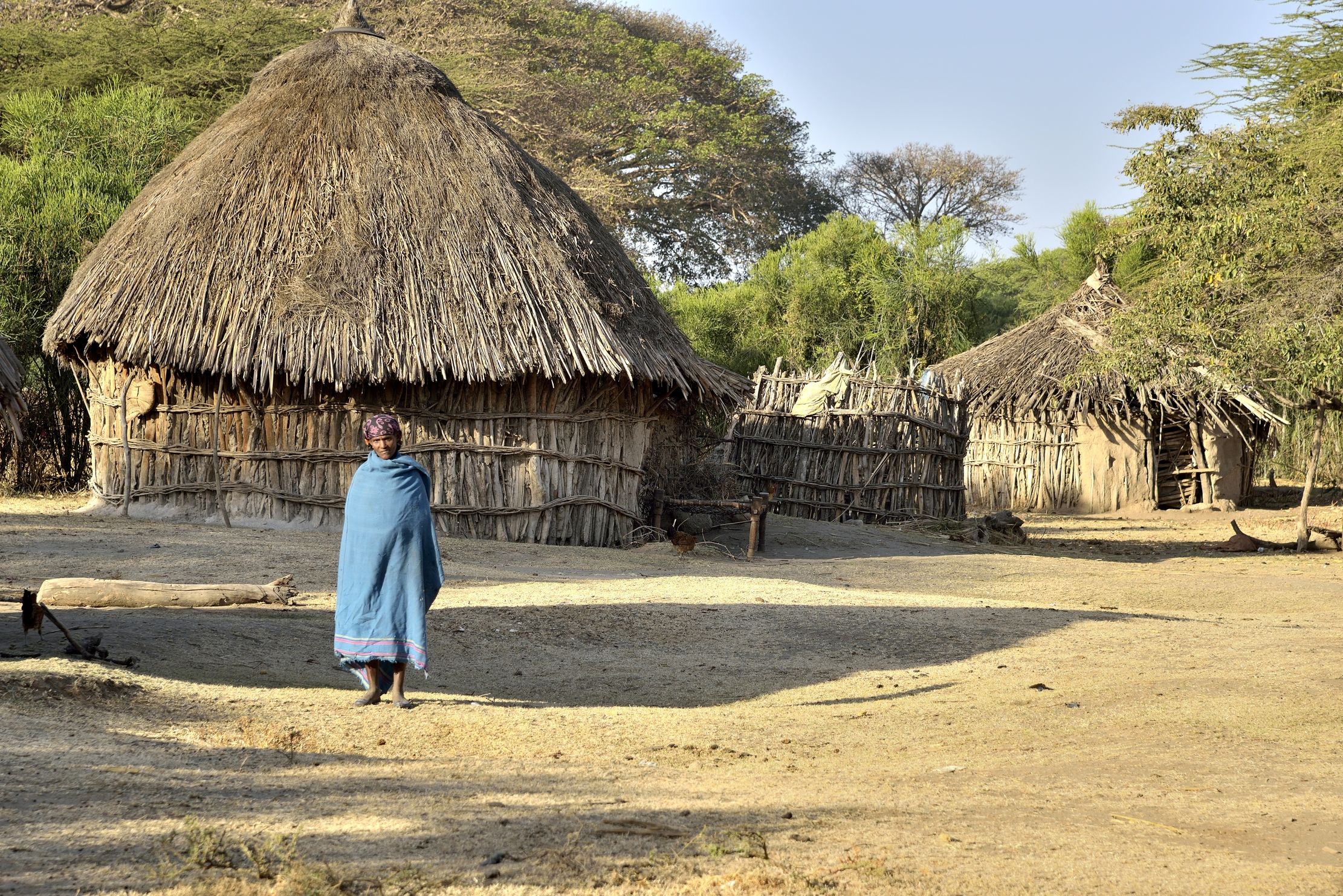 Etiopia 2015 - Fattoria Oromo