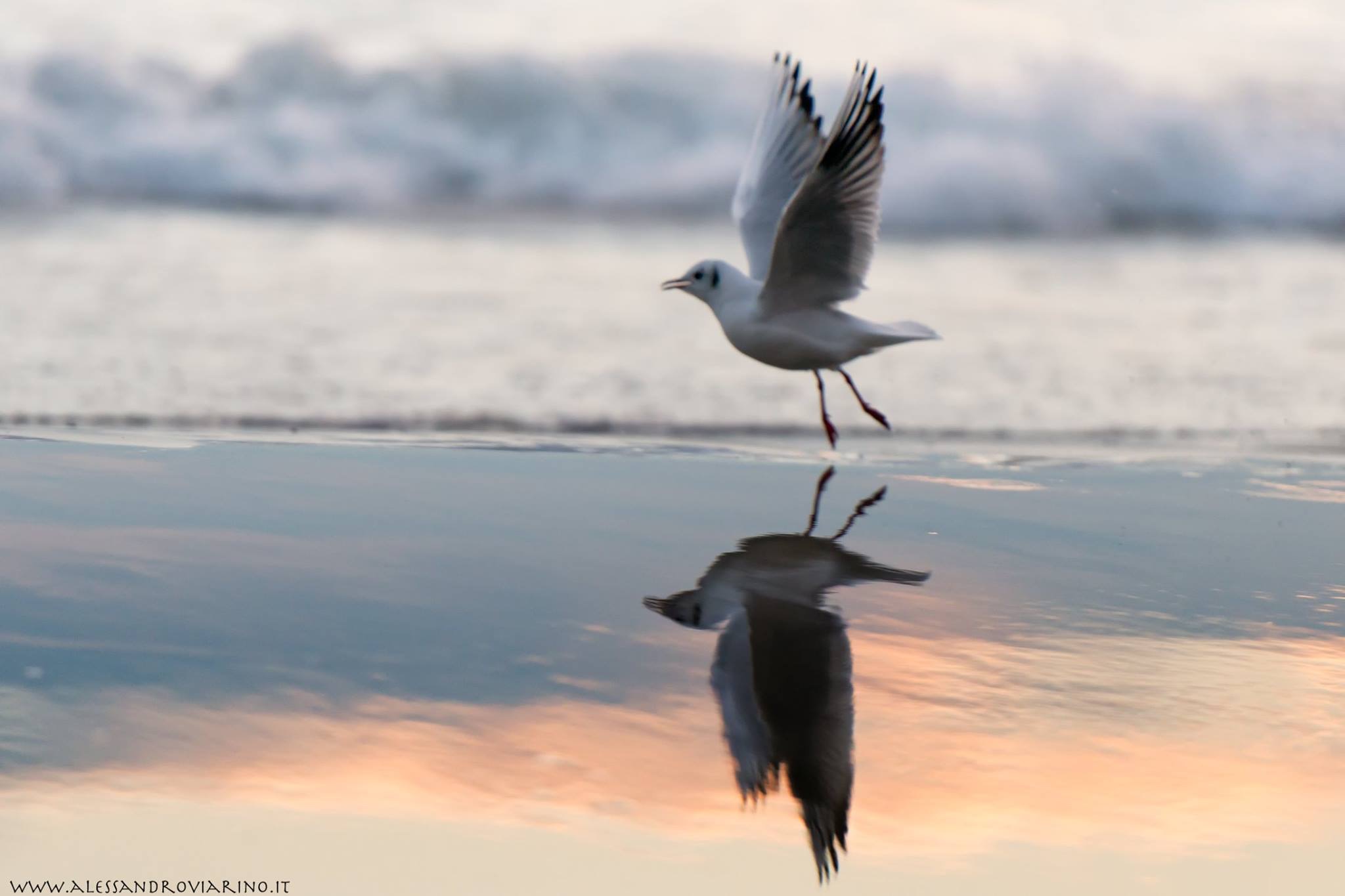 Riflesso....nell alta marea