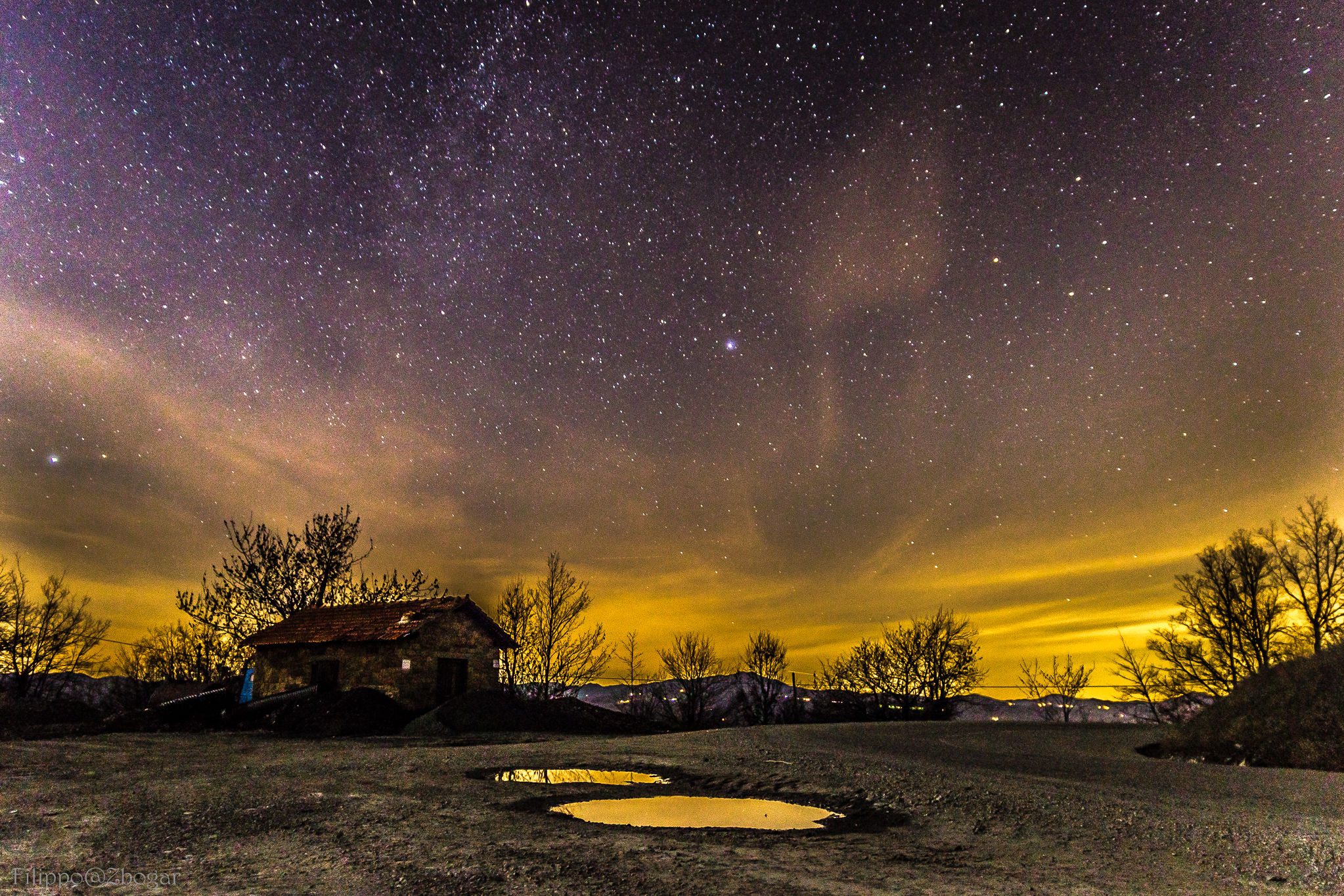 Casaselvatica in Notturna