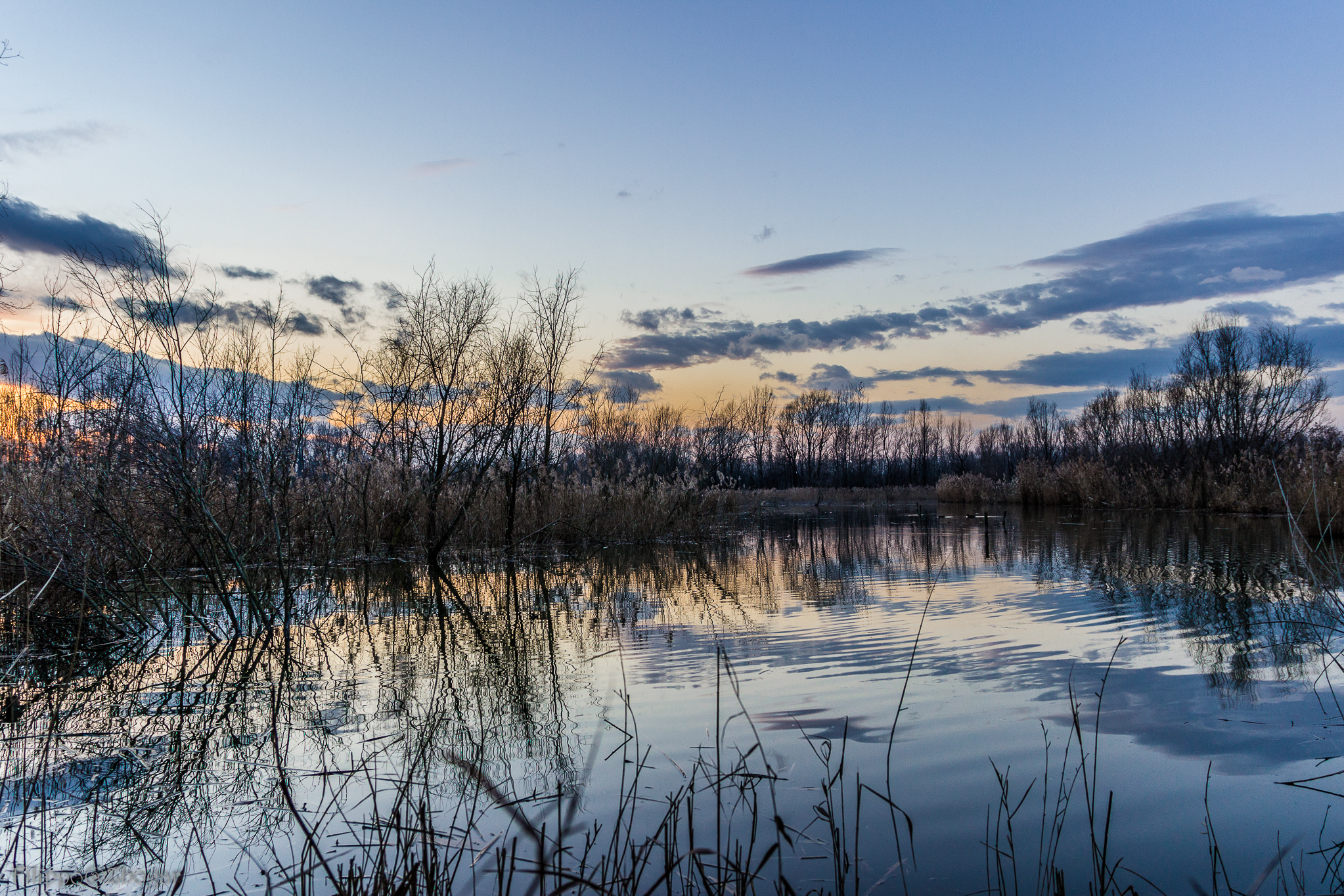 Riflessi nell'Area di Chiesuole