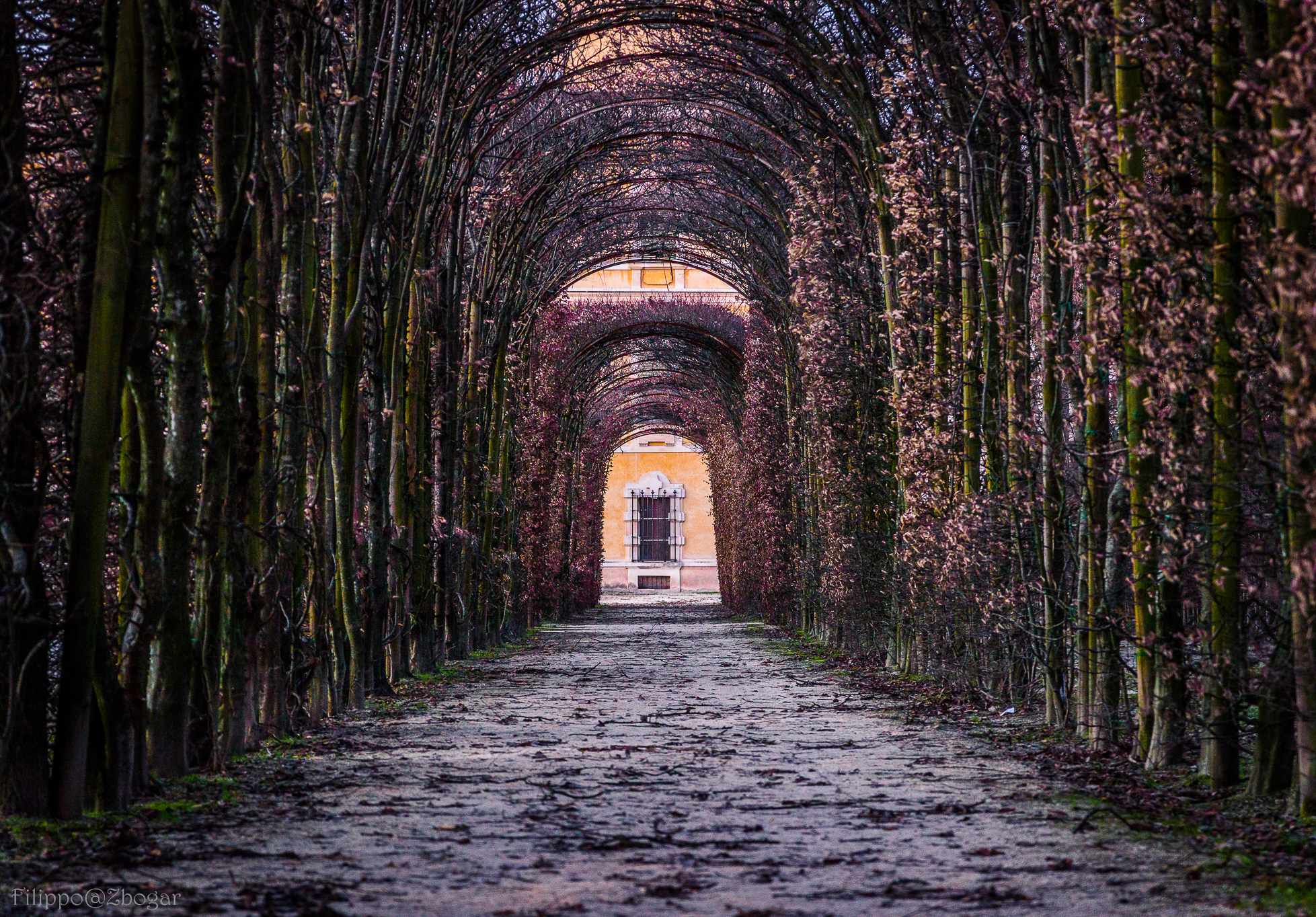 Un Occhio alla Reggia di Colorno