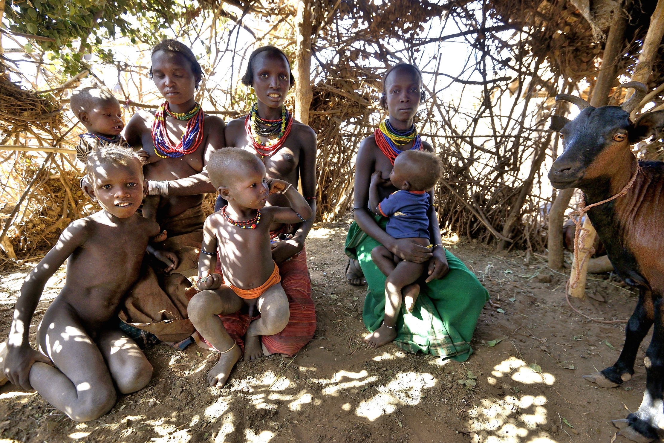 Etiopia 2015 - In una capanna Dassanech