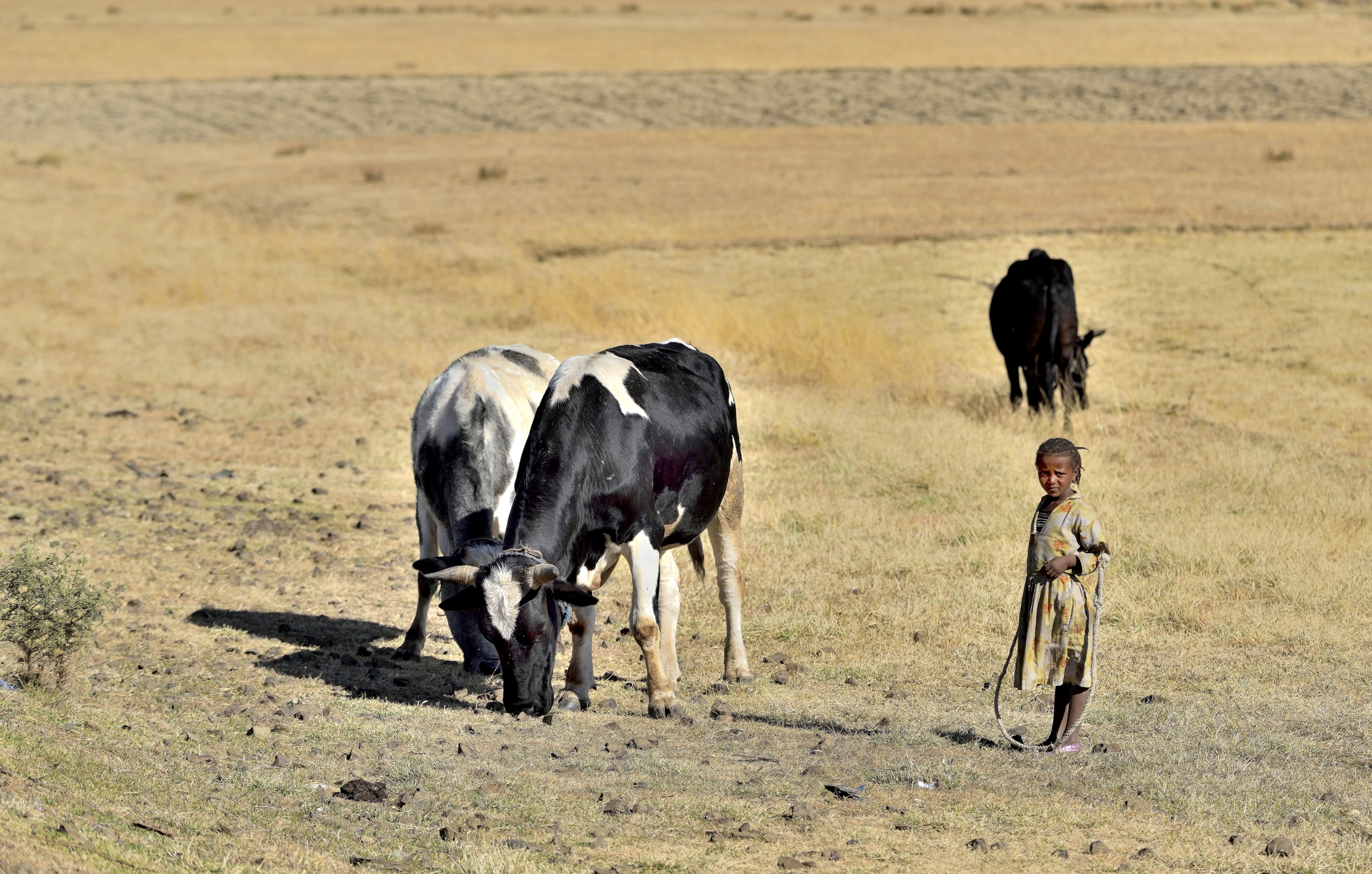 Etiopia 2015 - Bambina Amara