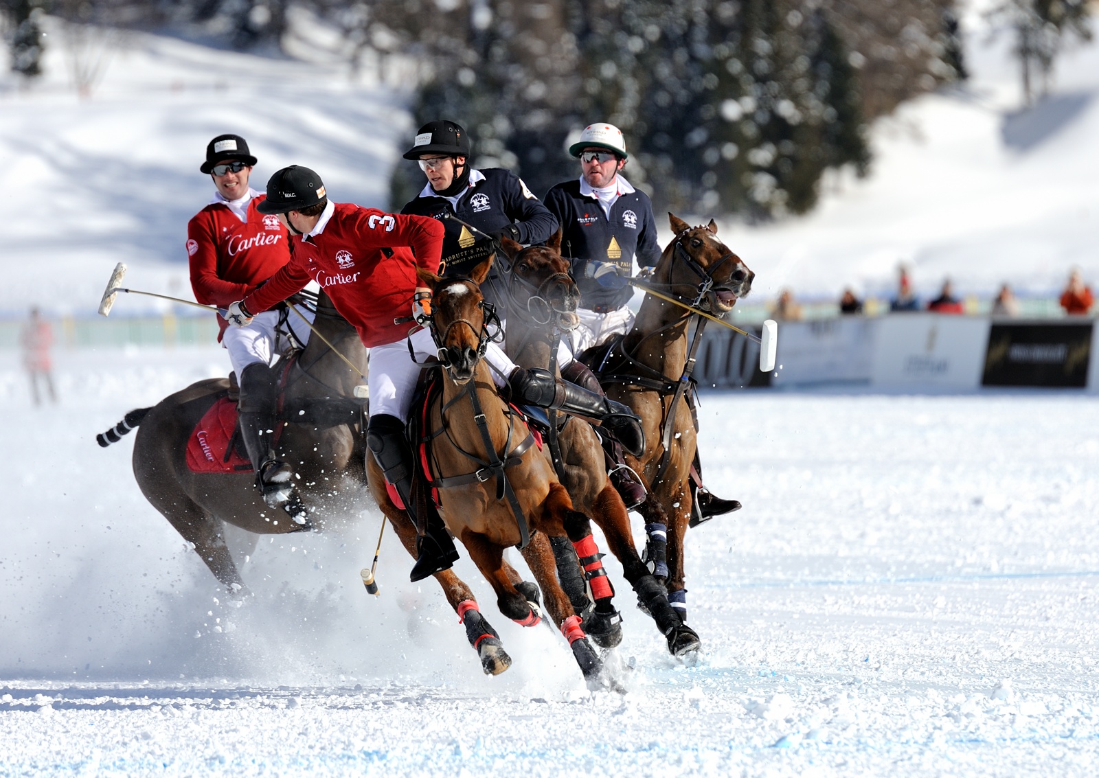 Polo World Cup on Snow