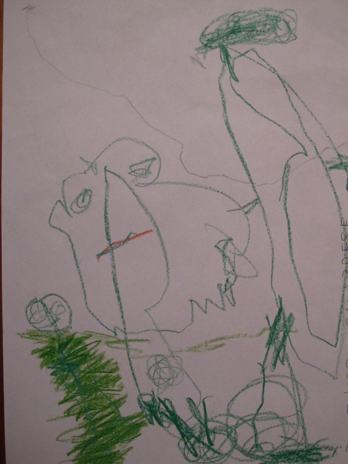 papino, mammina e Dodò