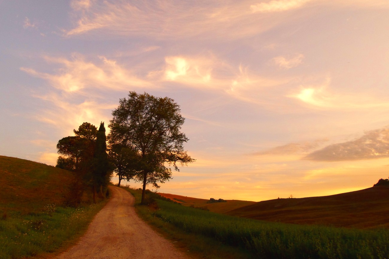 Tuscan Landscape