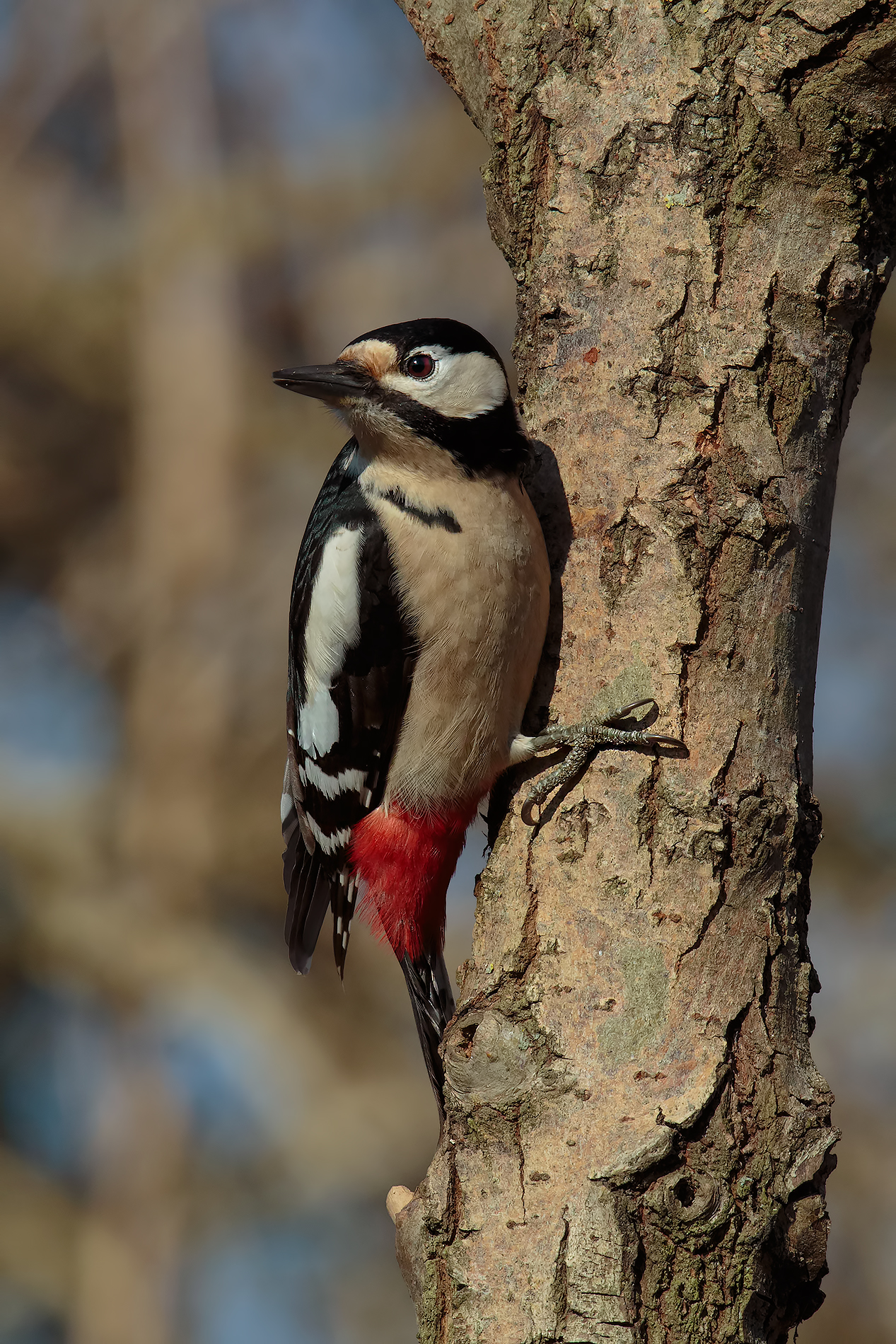 .... Finally arrived .. !!!