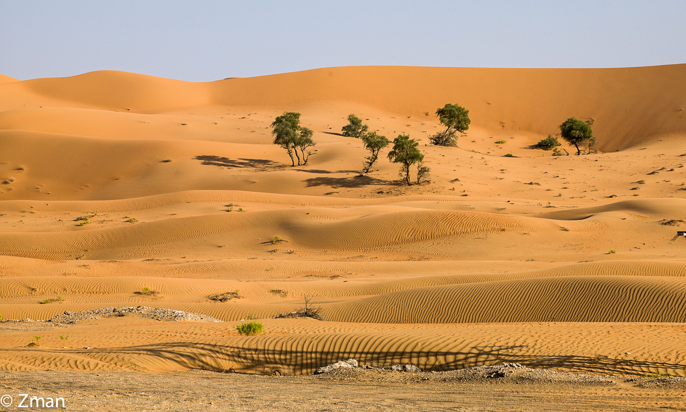 La bellezza del deserto