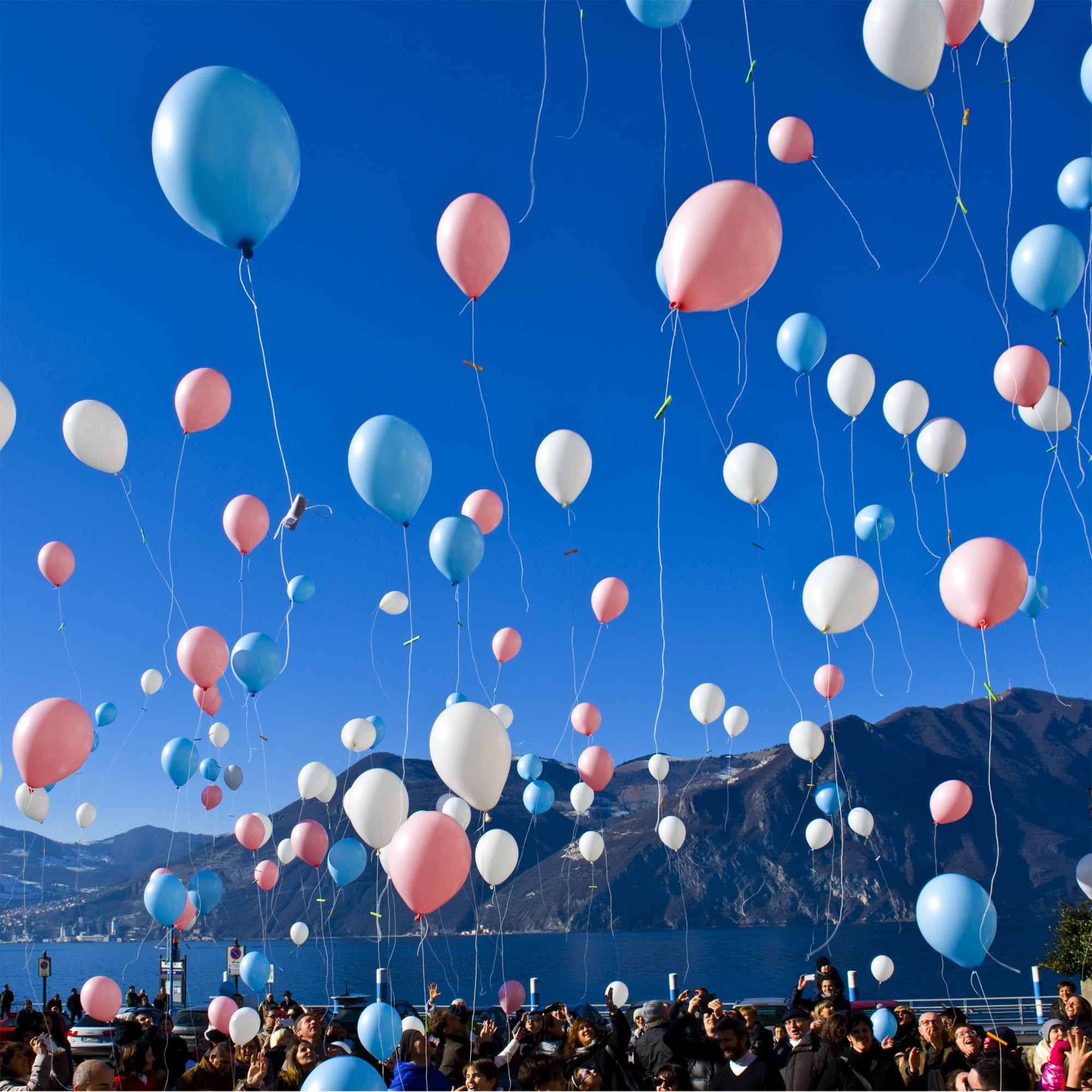 Festa della vita 2015