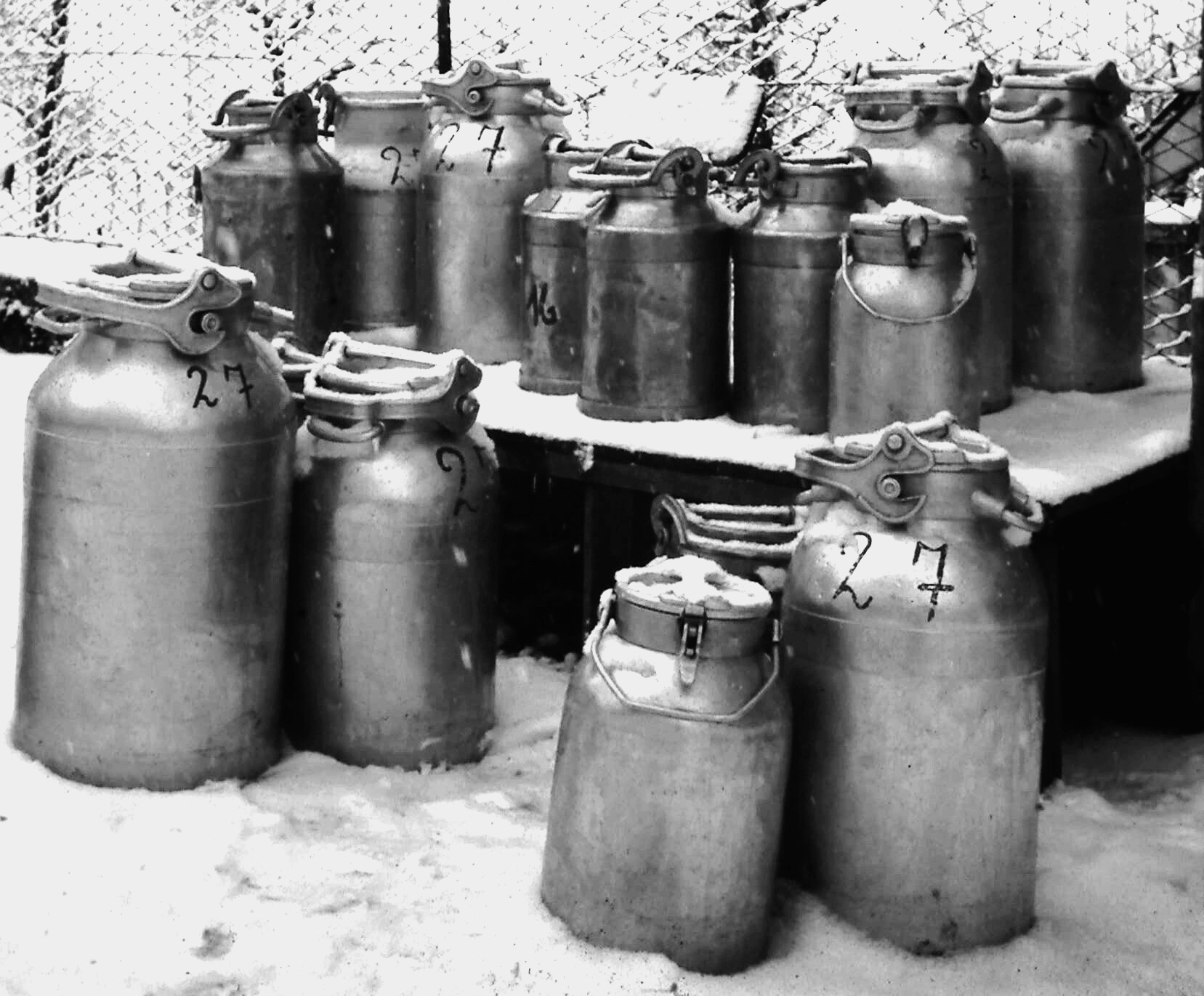 milk collection 1980