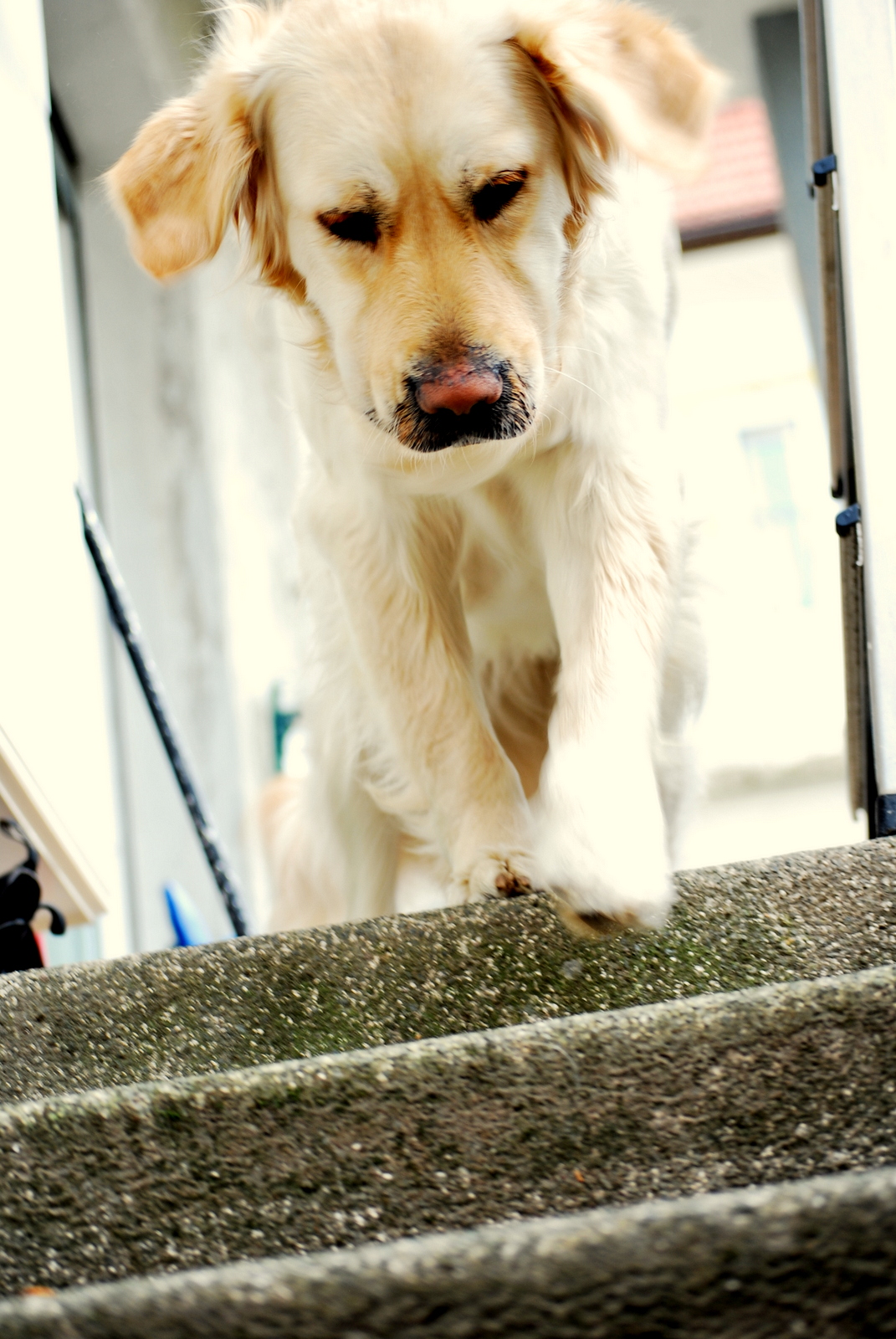 What makes life better