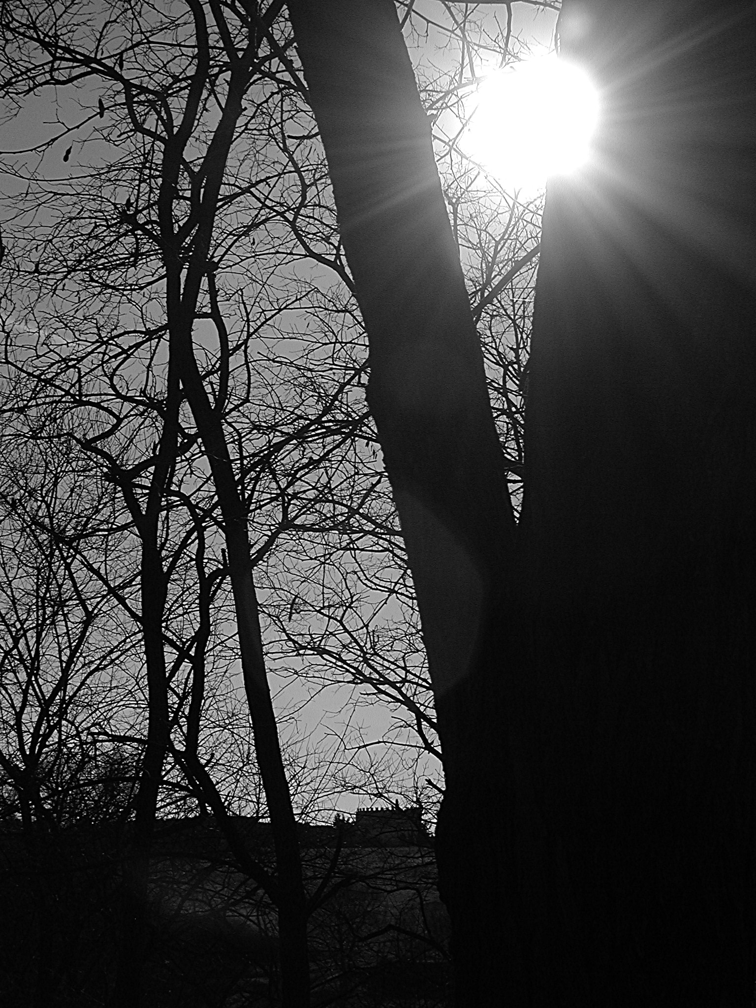 Tomb of Cecilia Metella