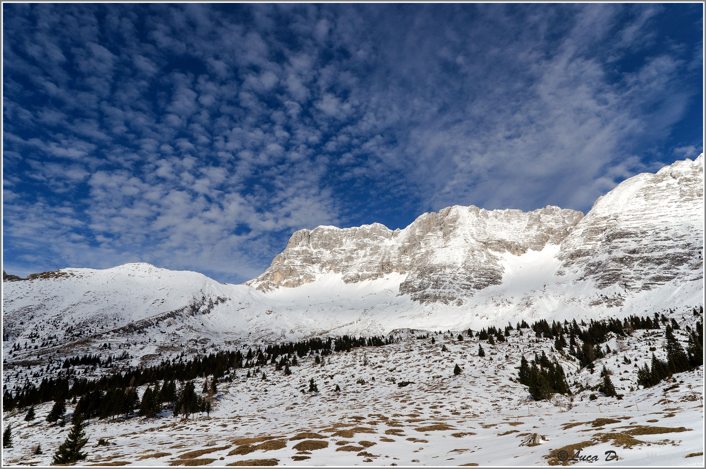 Altipiani del Montasio