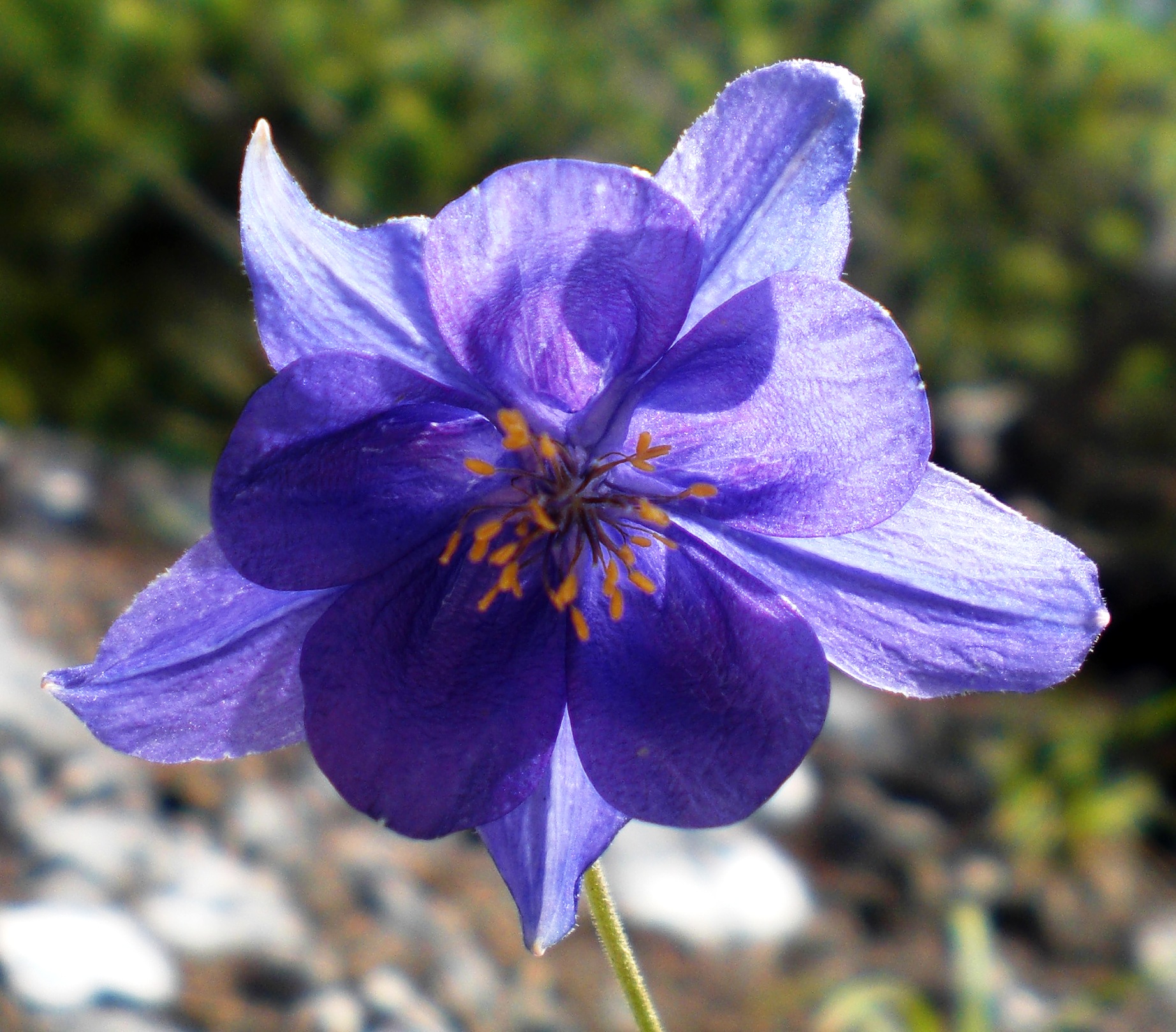 splendore nella semplicità