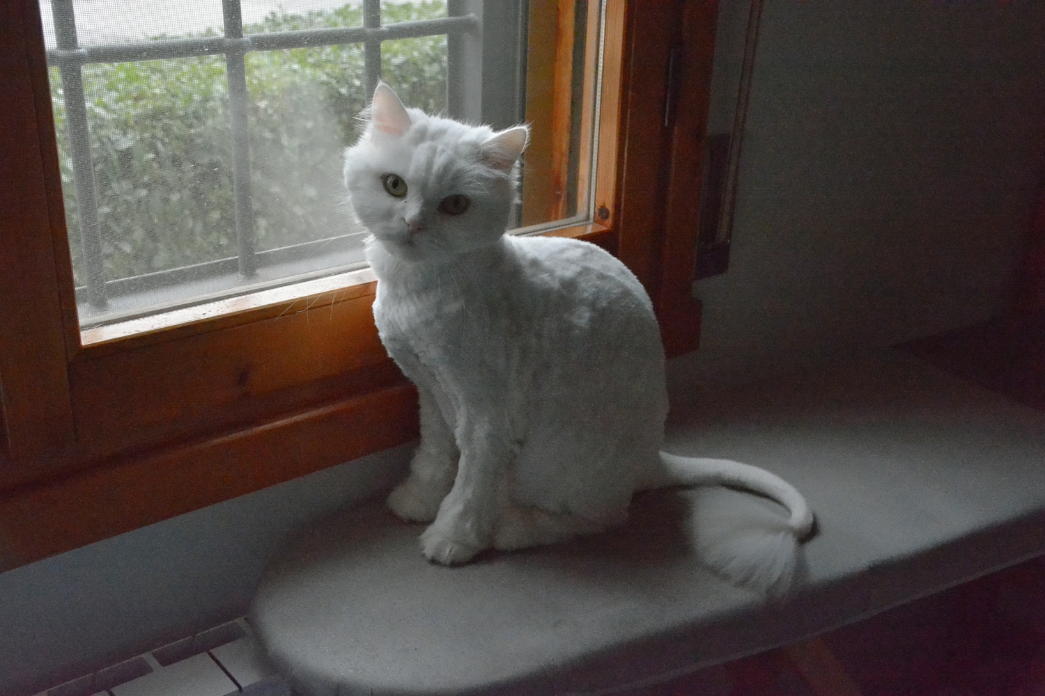 sorry but I was full of knots ..