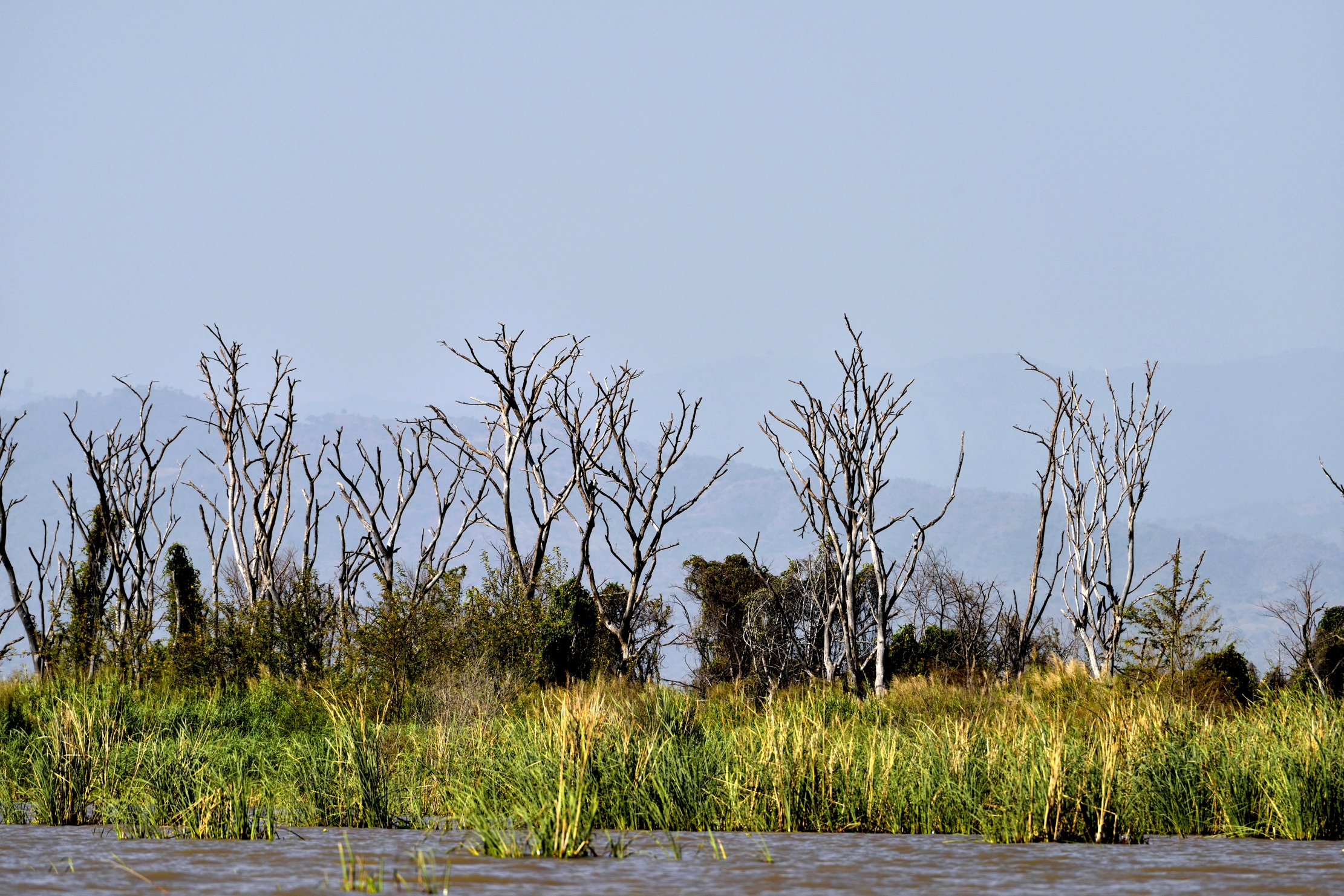 Etiopia 2015 - Lago Hawassa