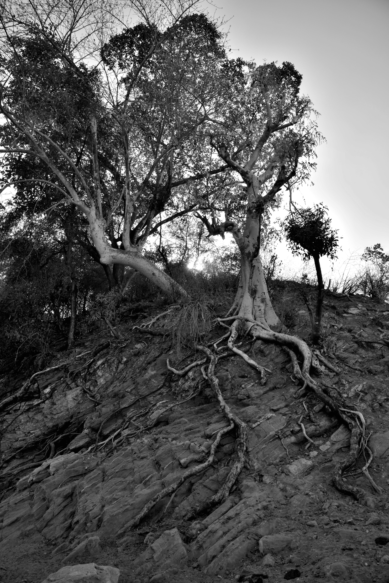 Etiopia 2015 - Valle dell'Omo