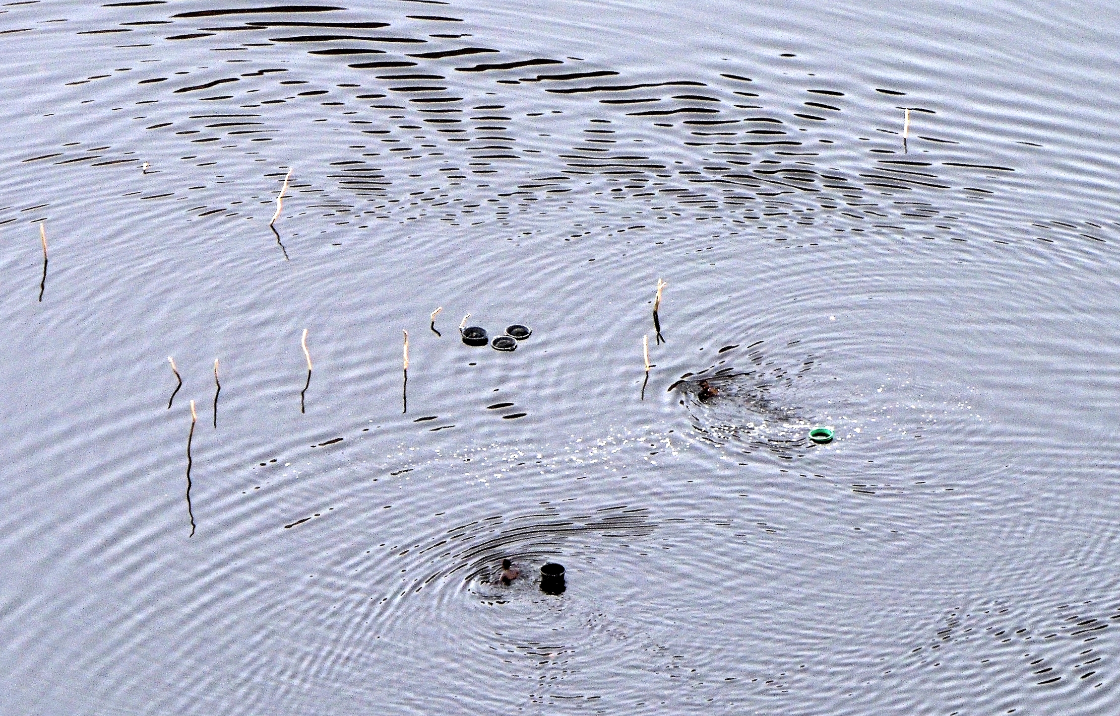 Etiopia 2015-Raccoglitori di sale. lago vulcanico Elsod