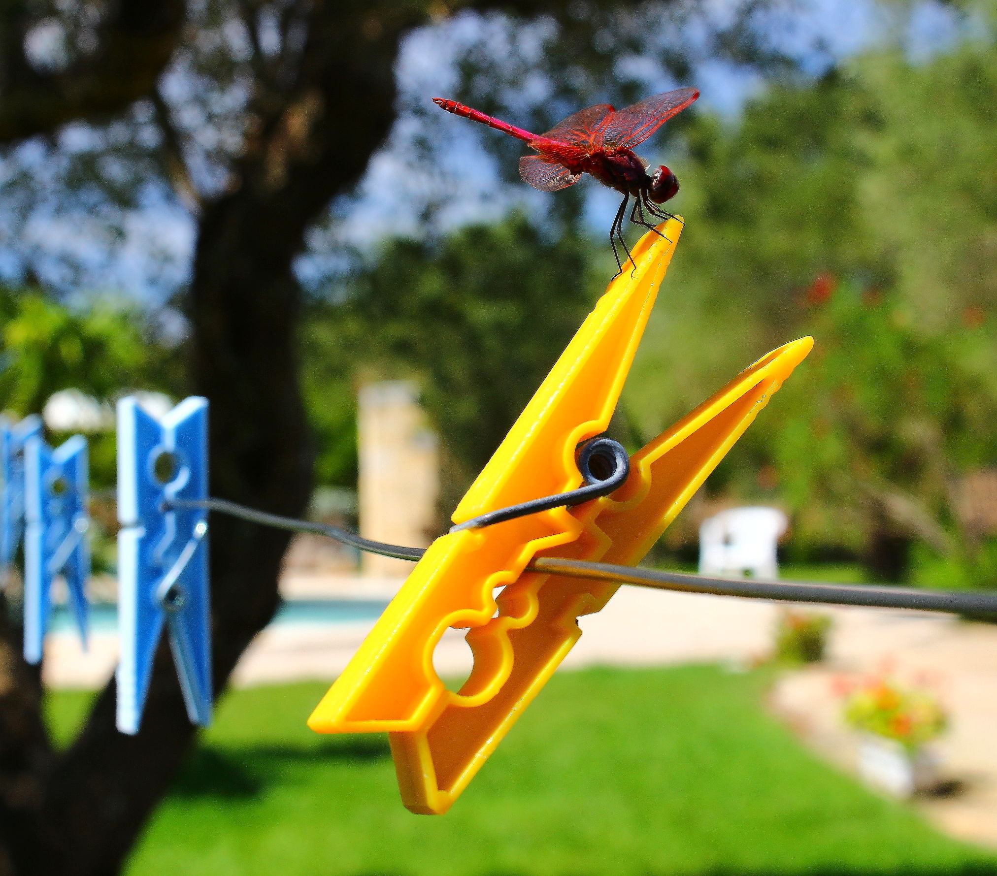 Sooner or later I'll make