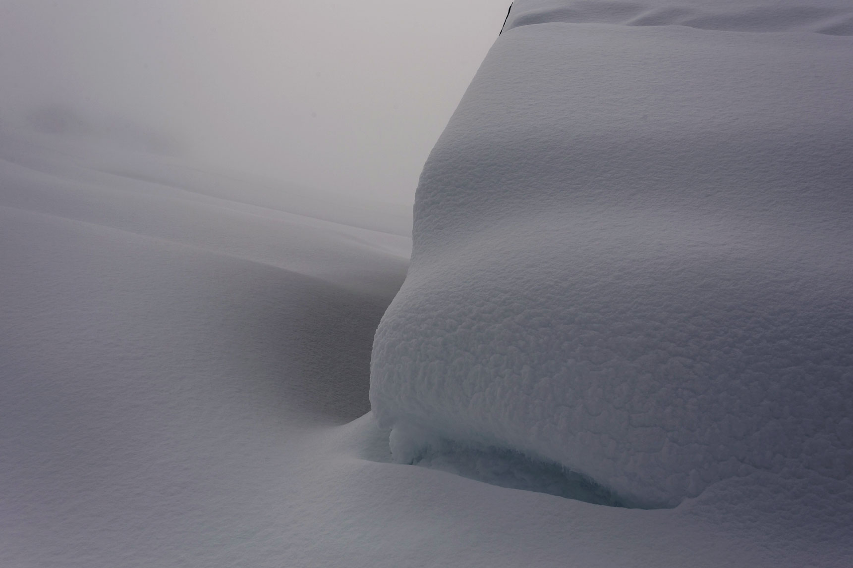 Candido e soffice mantello.