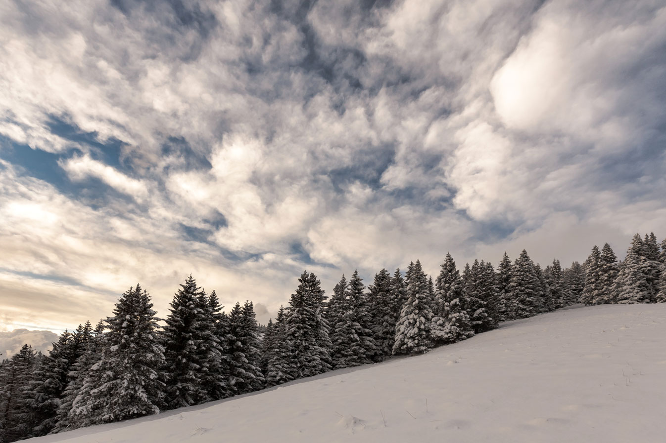 Clouds, trees, snow. Breath.