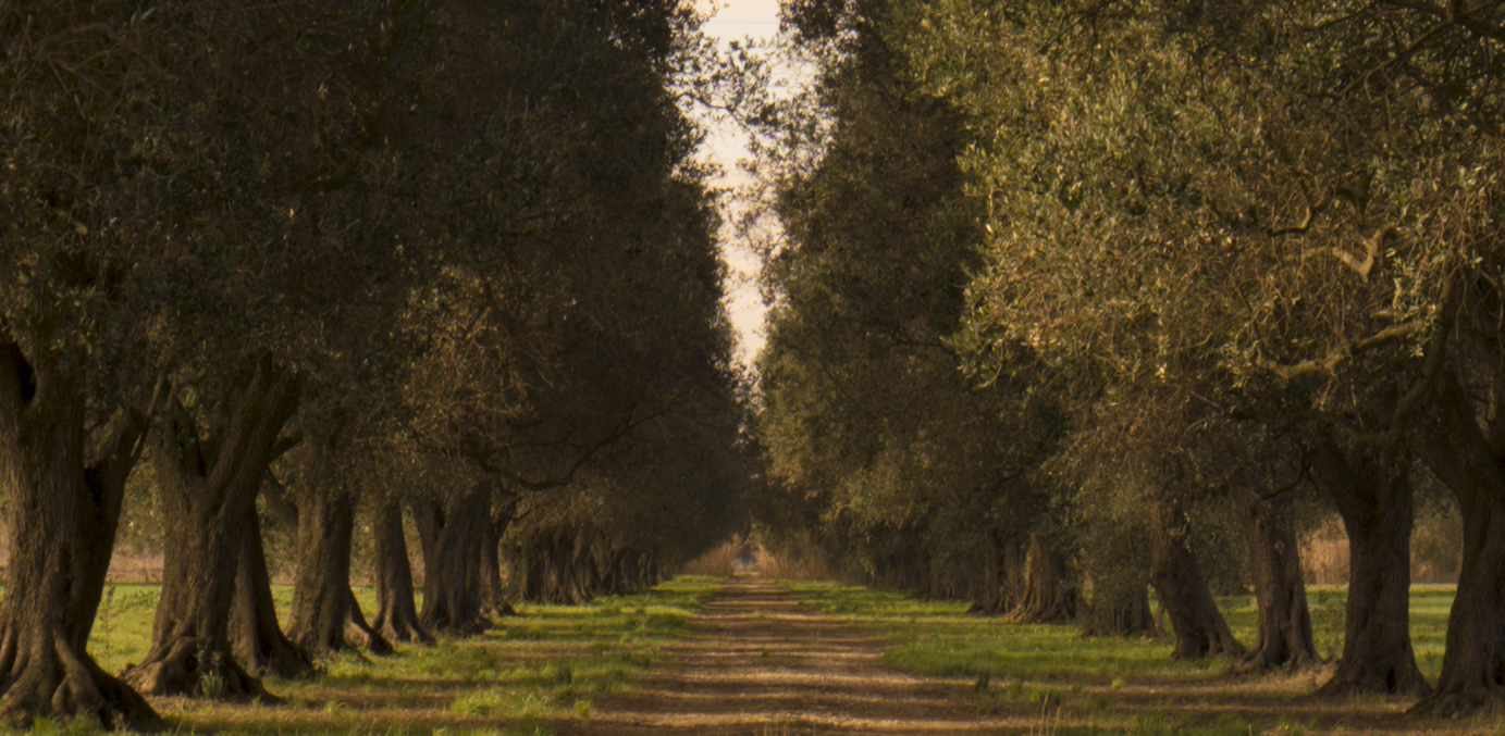 Follow me to the imagination ...