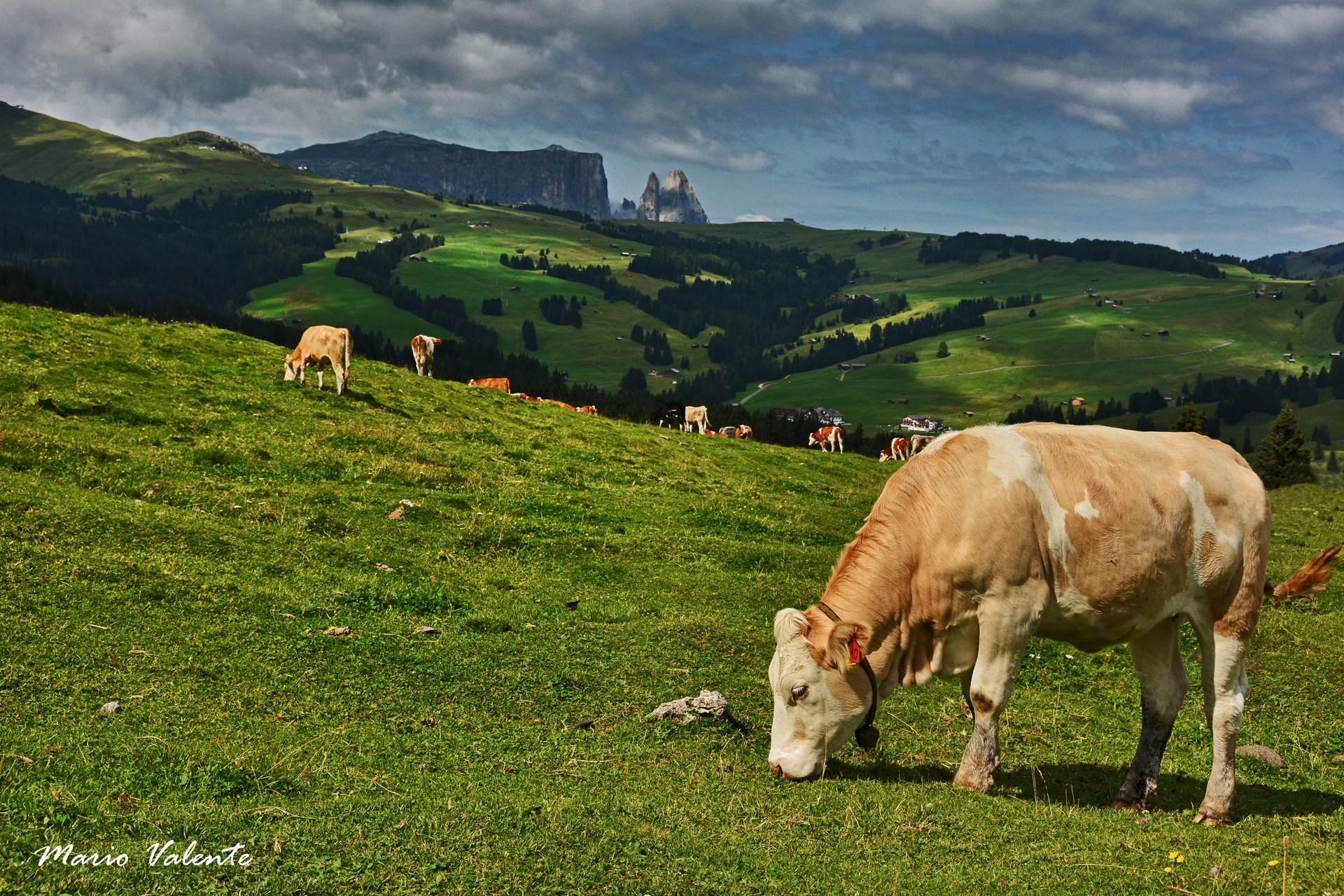 Tra Val Gardena e Alpe di Siusi