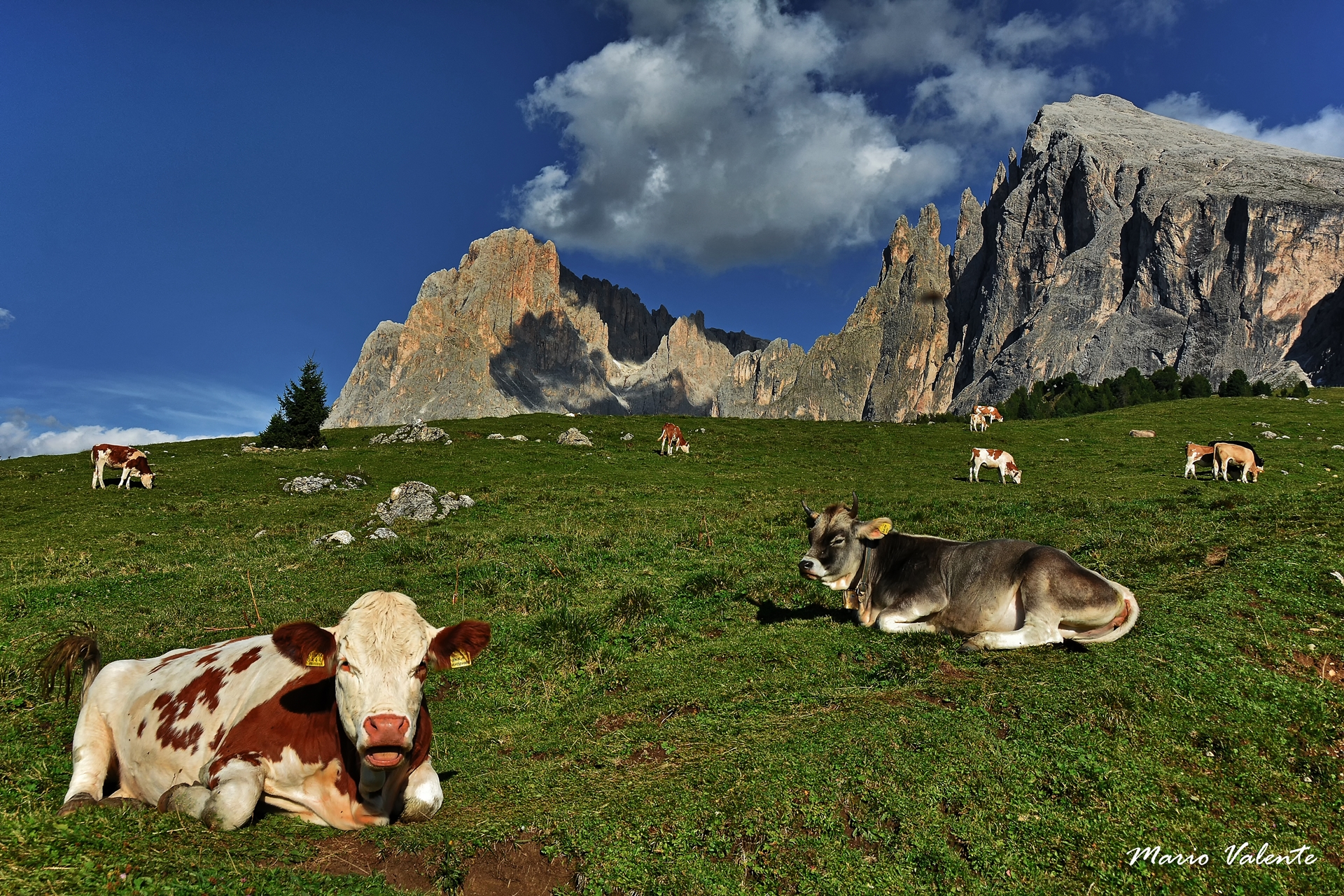 Sasso Lungo e Sasso Piatto