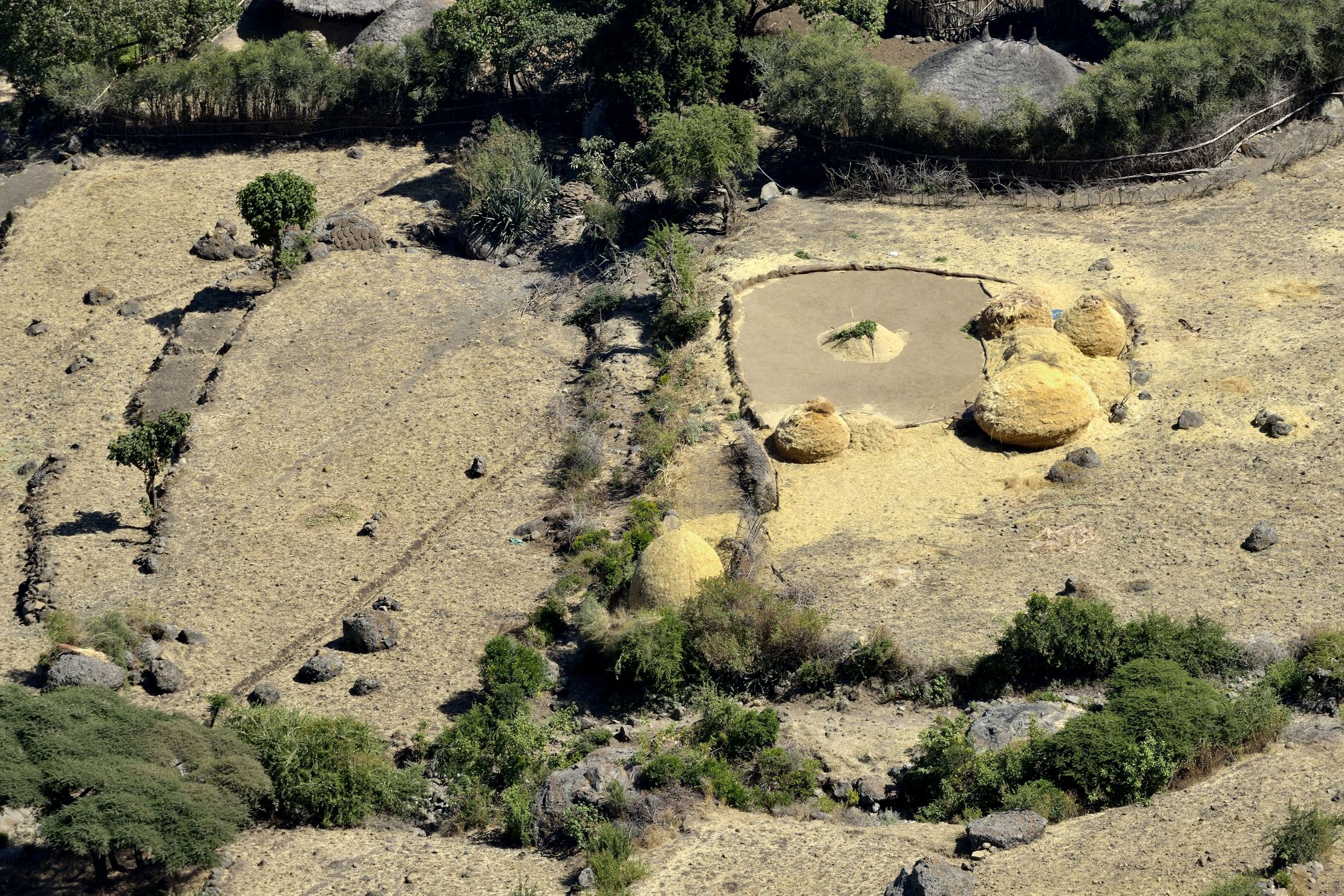 Etiopia 2015 - nei pressi di Debre Libanos