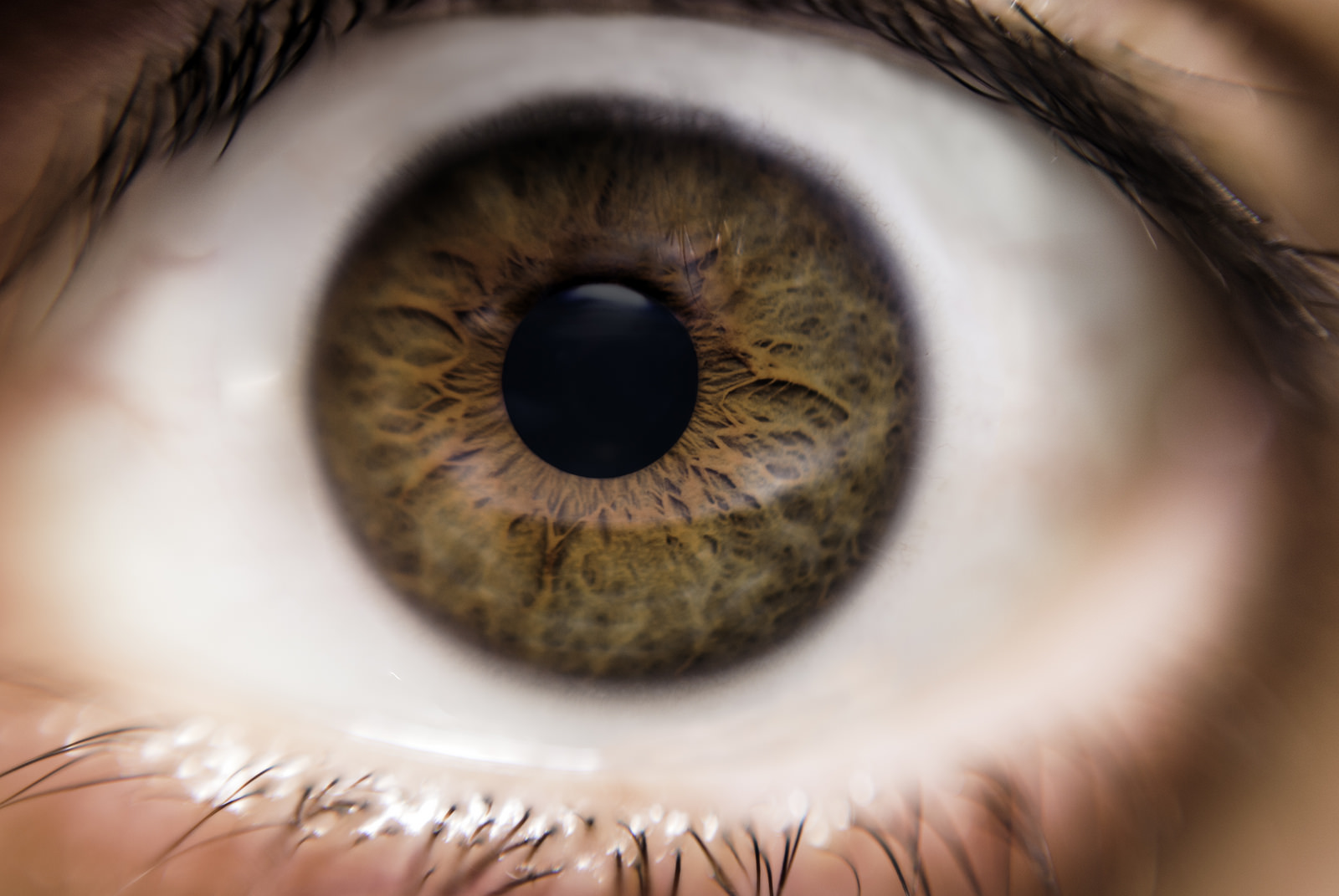 My Eye - My Eye - 50mm inverted