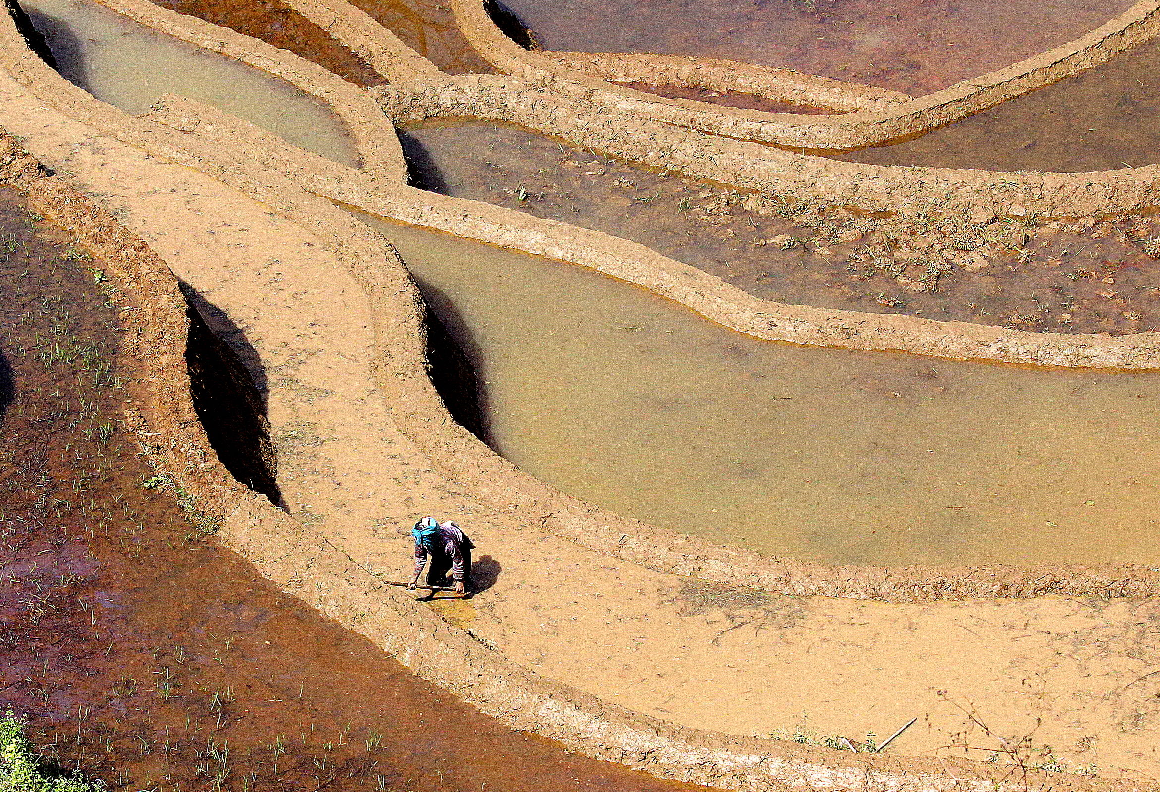 Yuanyang rice paddies - China