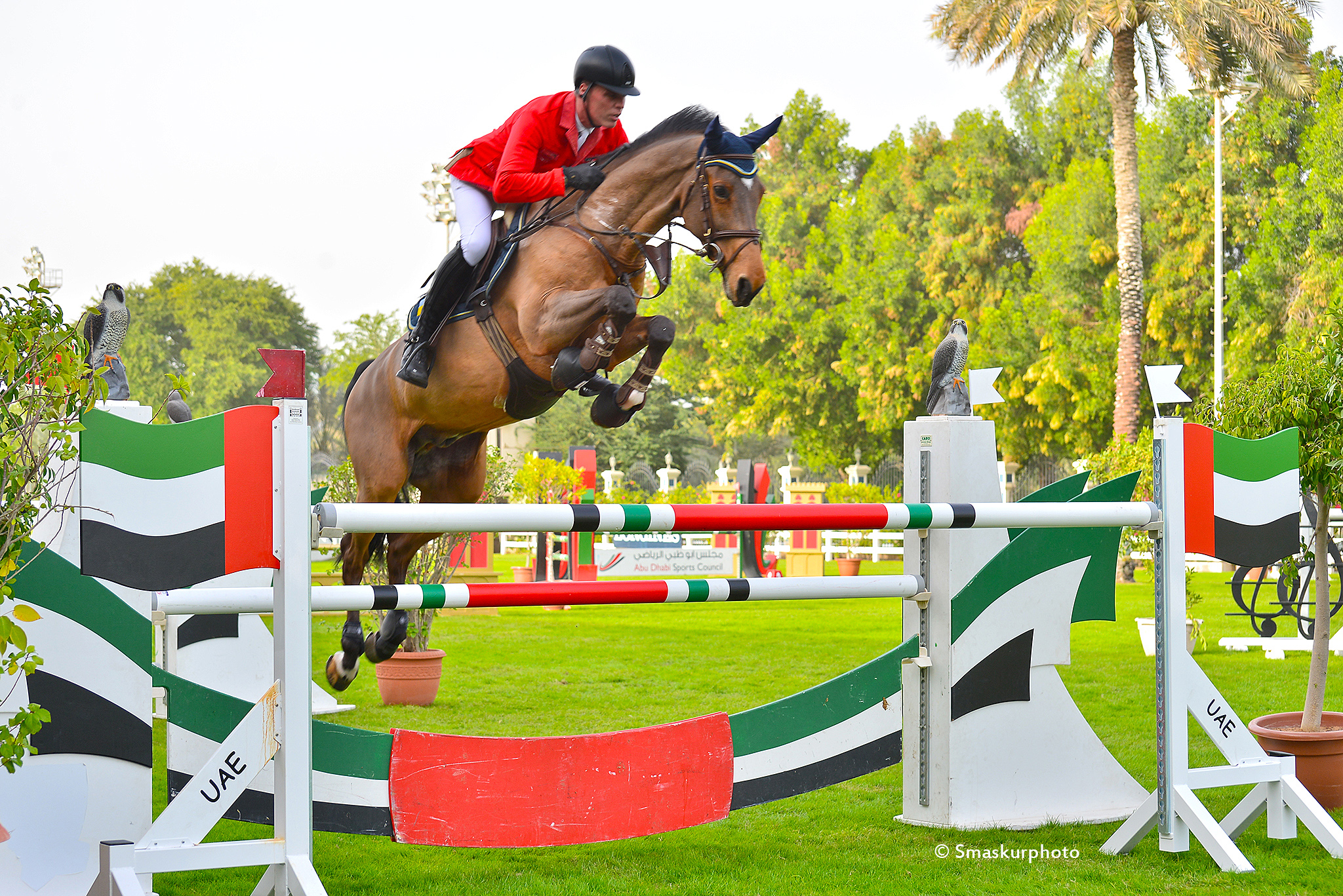 Equestrian Internazionale Championship_2015